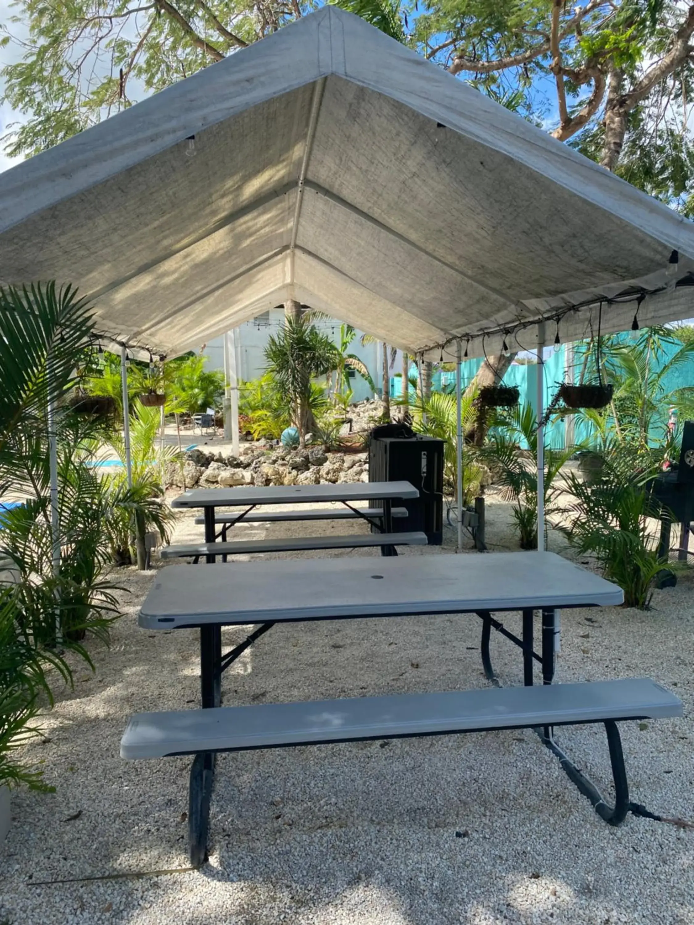Patio, BBQ Facilities in Hoosville Hostel (Formerly The Everglades Hostel)