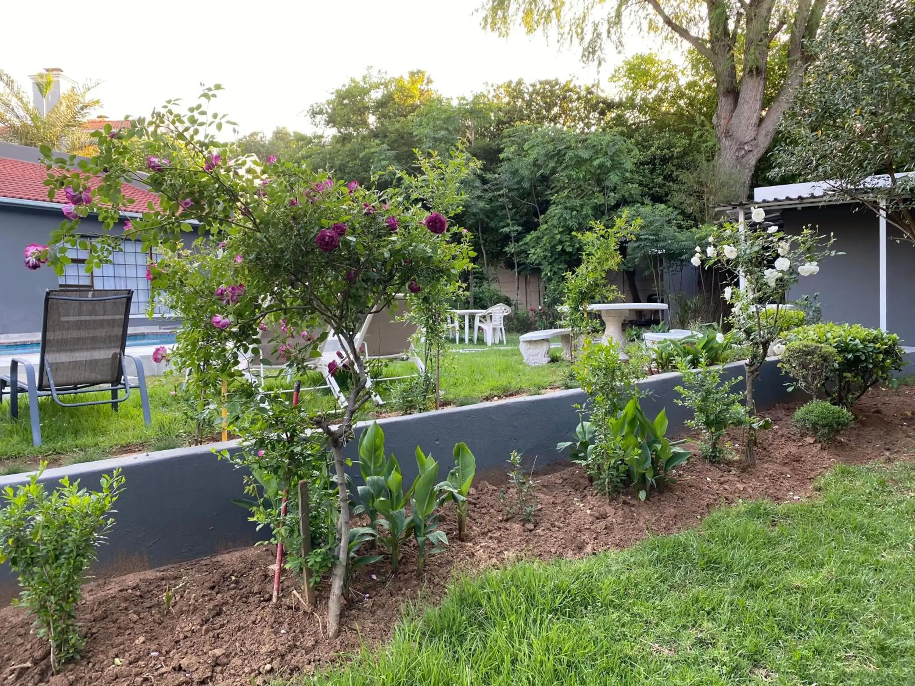 Garden in Marion Lodge