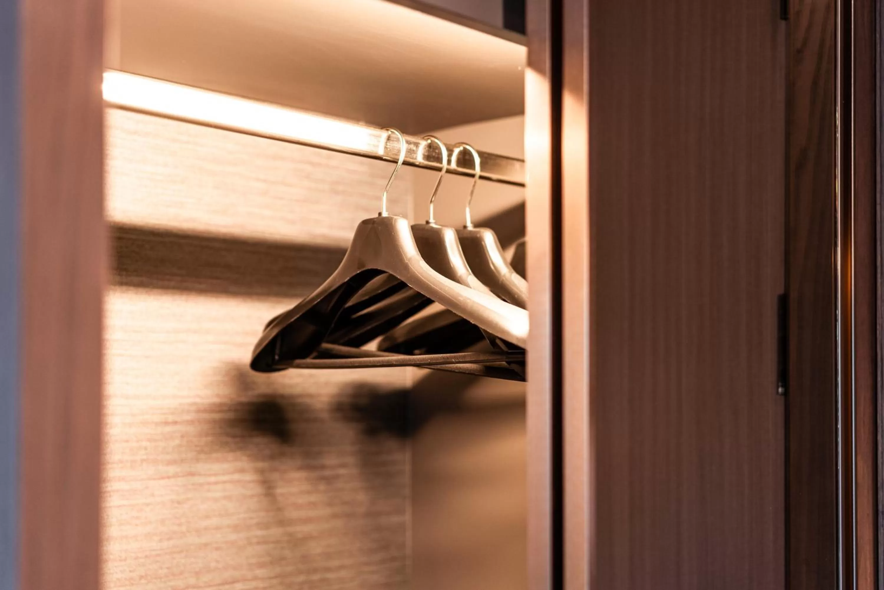 wardrobe in The One Smart Living