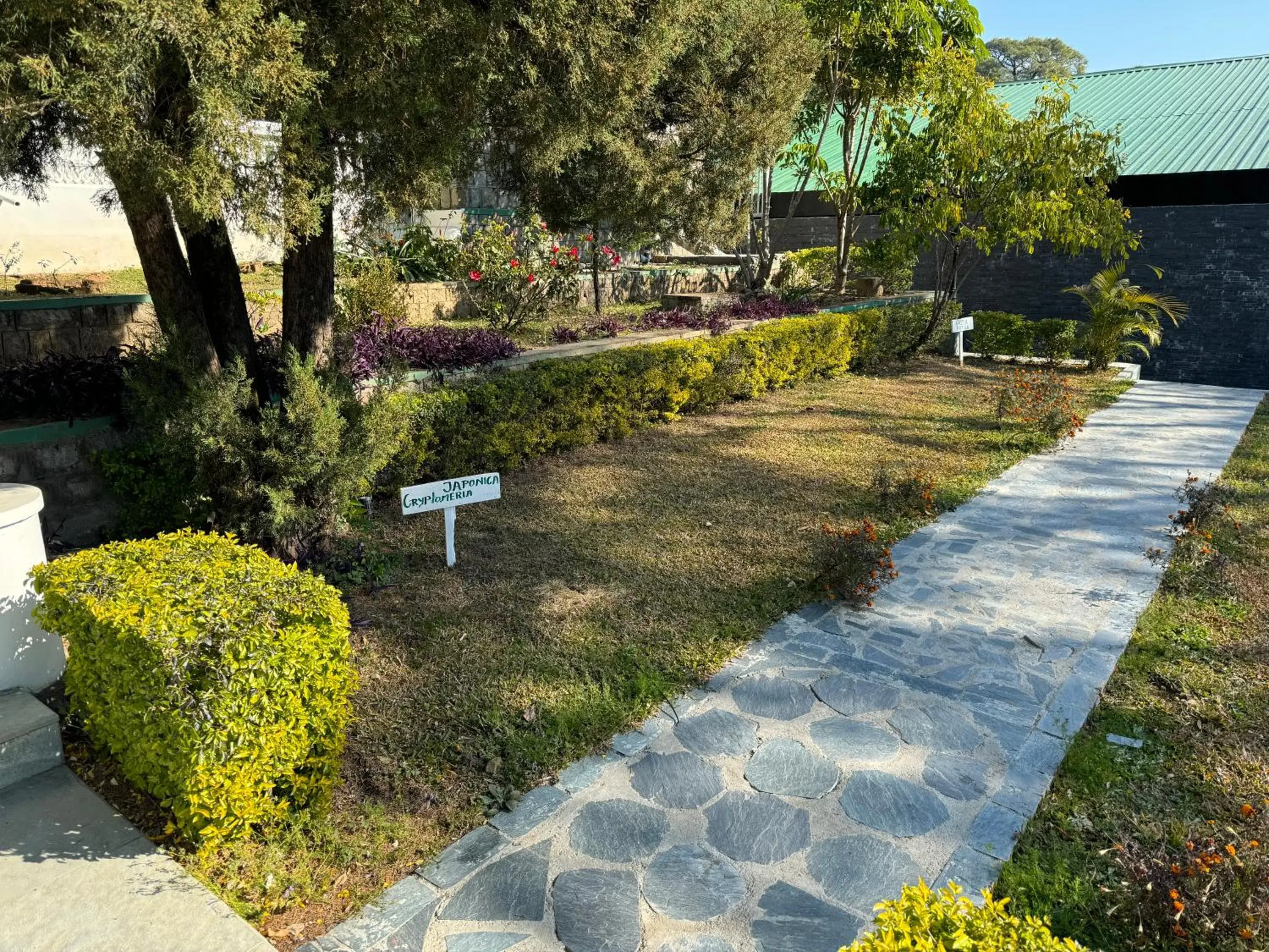 Garden in Brij Anayra, Dharamshala