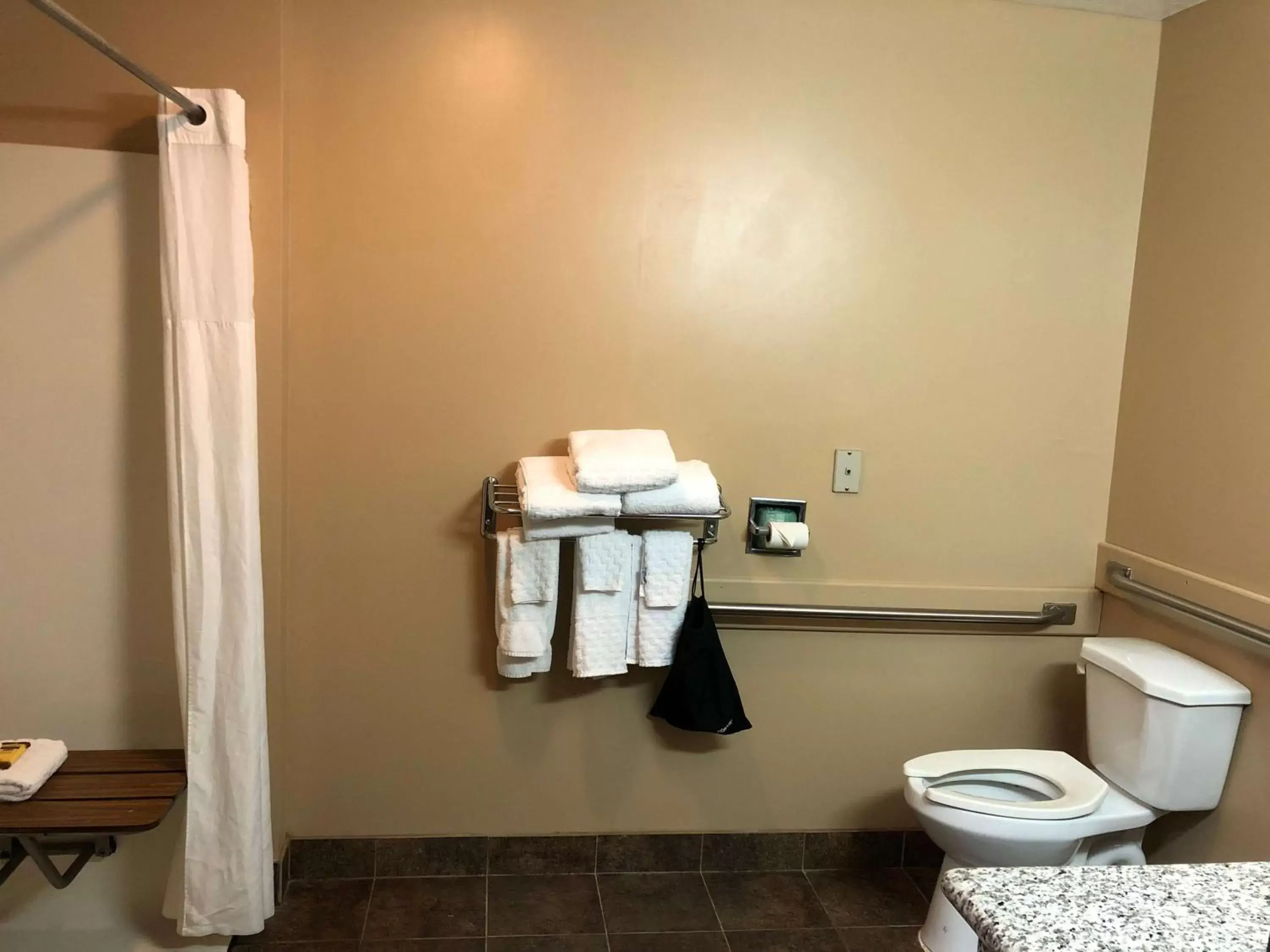 Toilet, Bathroom in Best Western Plus Coldwater Hotel