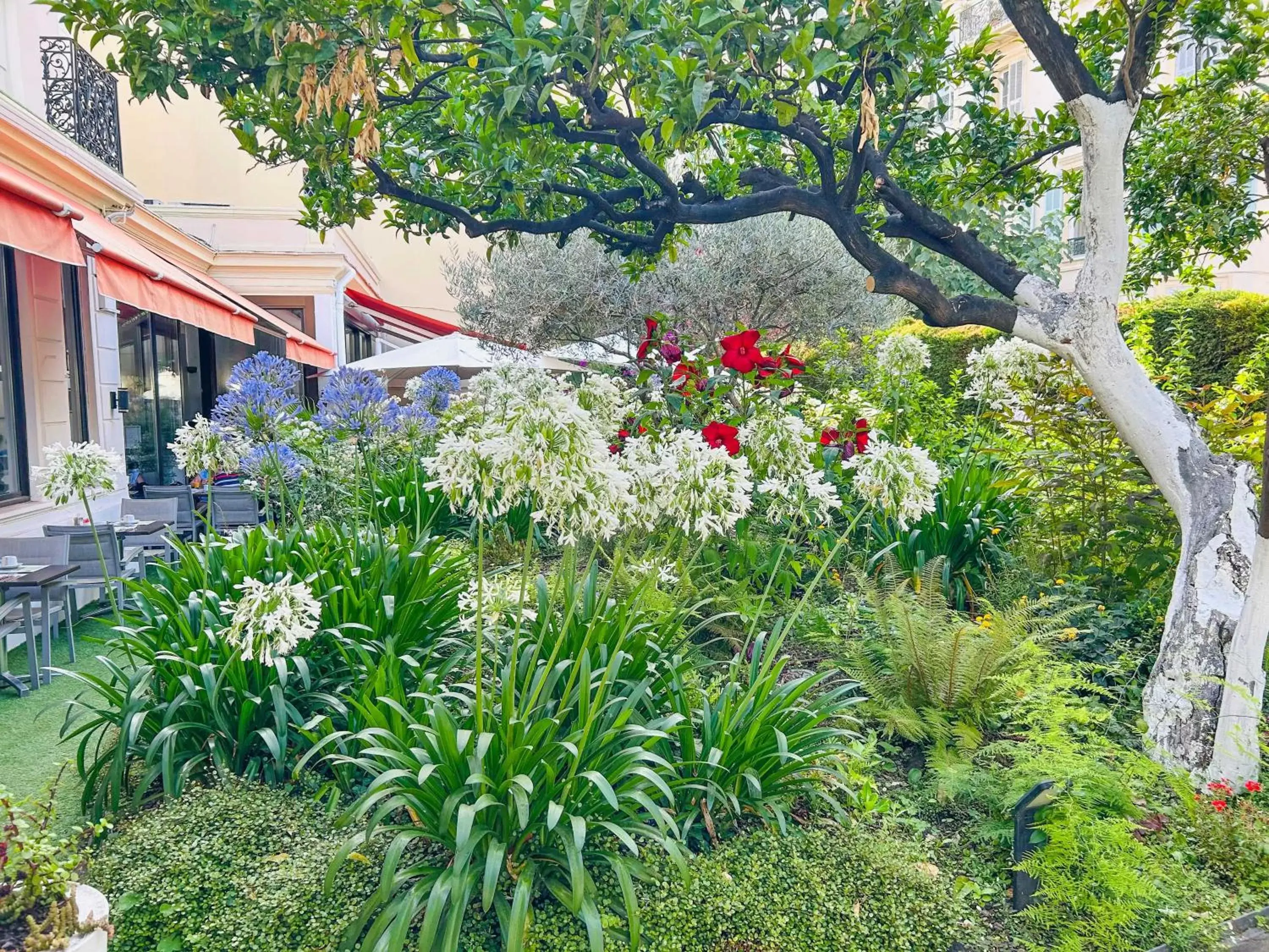 Garden in Best Western Plus Hôtel Brice Garden Nice