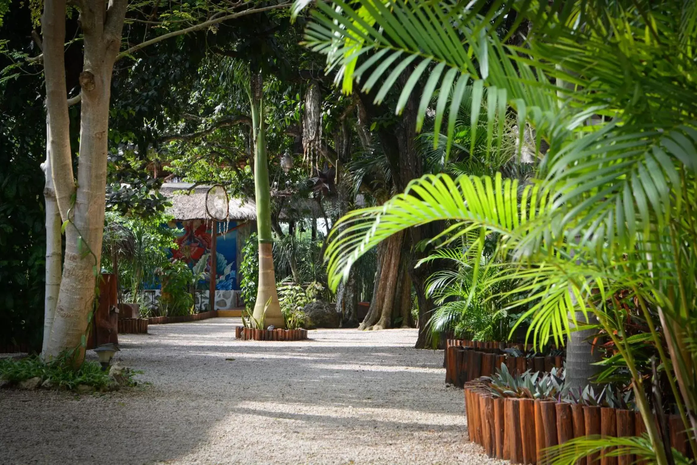 Patio in Hotel Zentik Project & Saline Cave