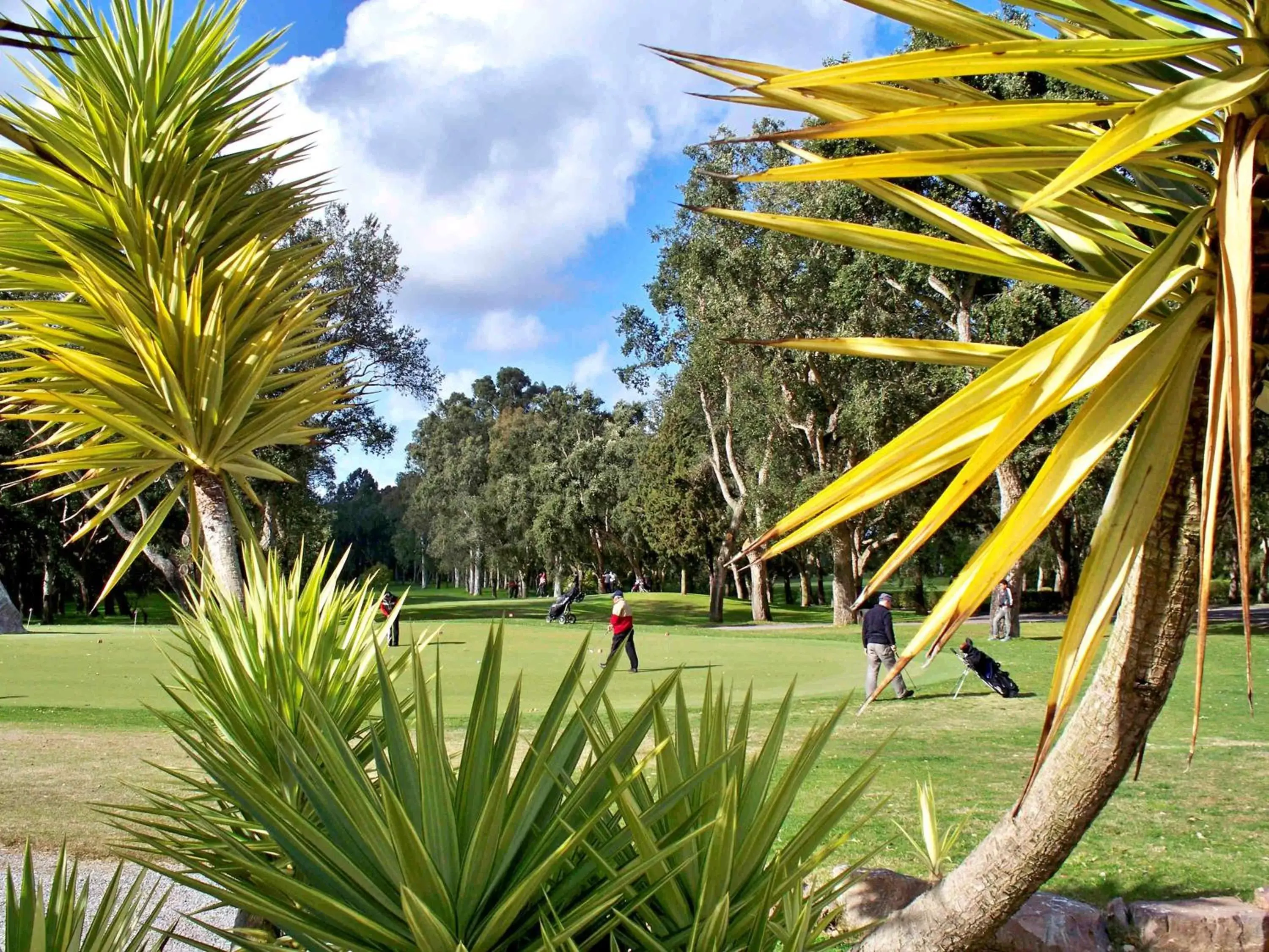 On site, Garden in Hotel Le Diwan Rabat - MGallery