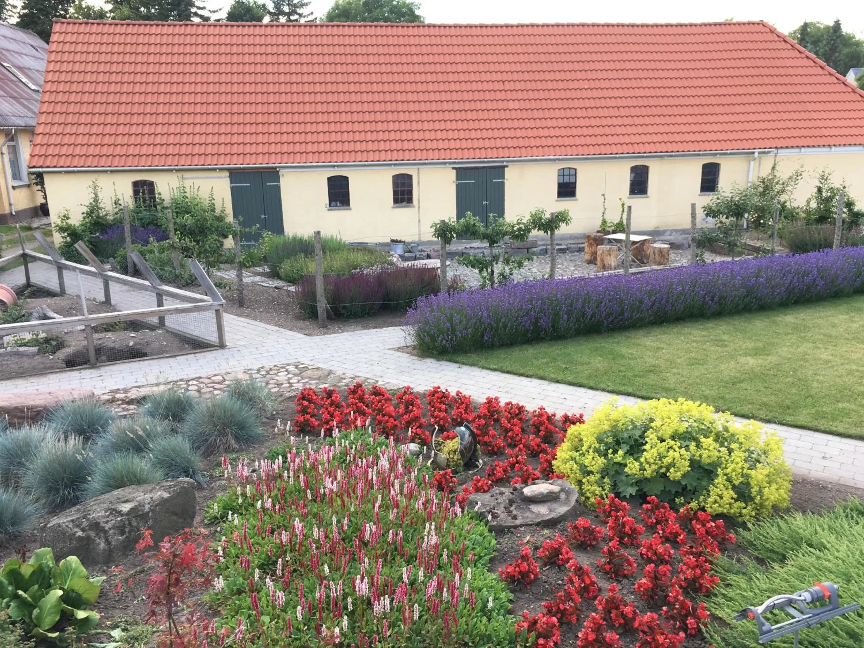 Garden view in Birkende Bed and Breakfast