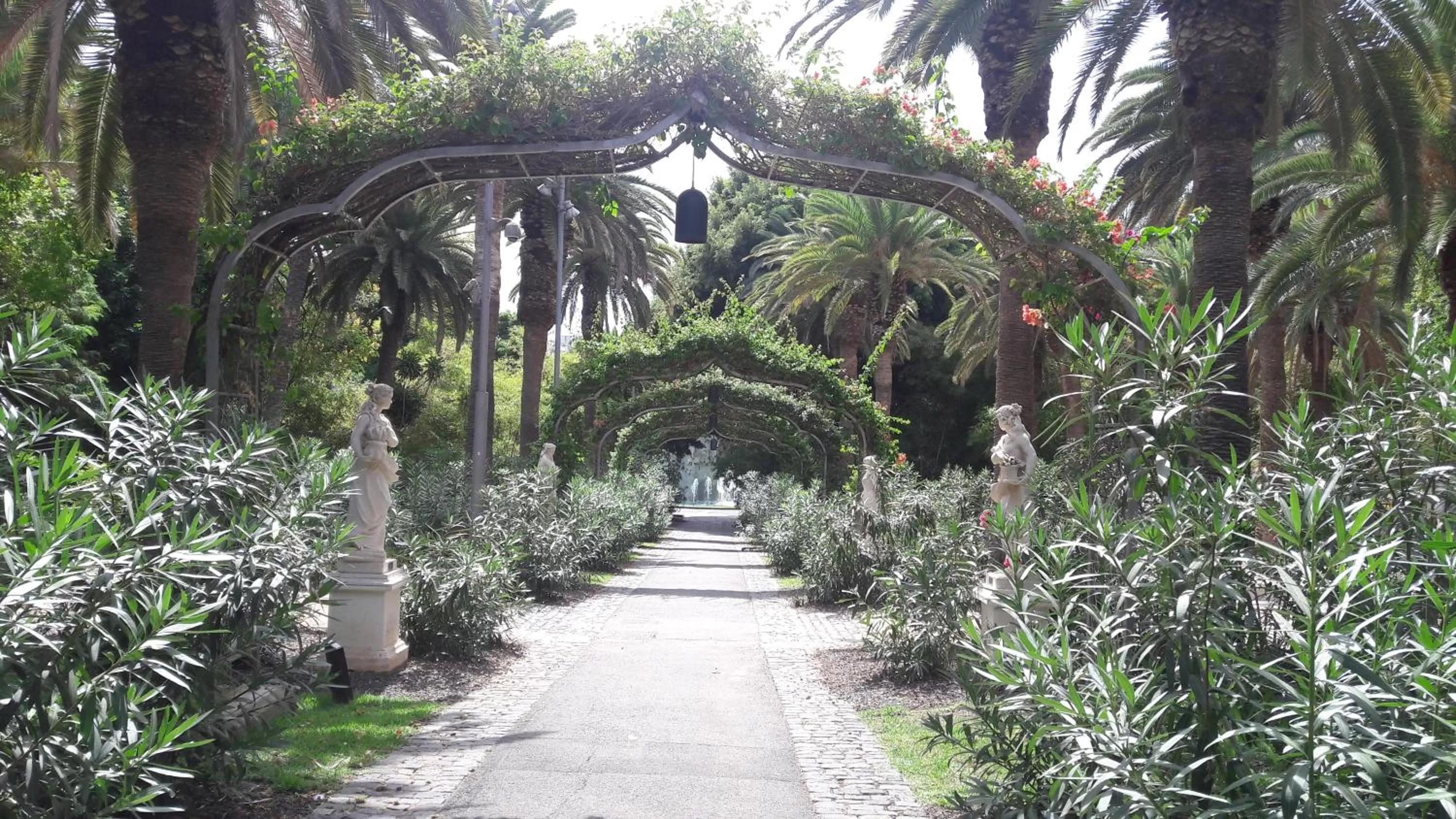 Nearby landmark, Garden in Tenerife Rooms S. C.