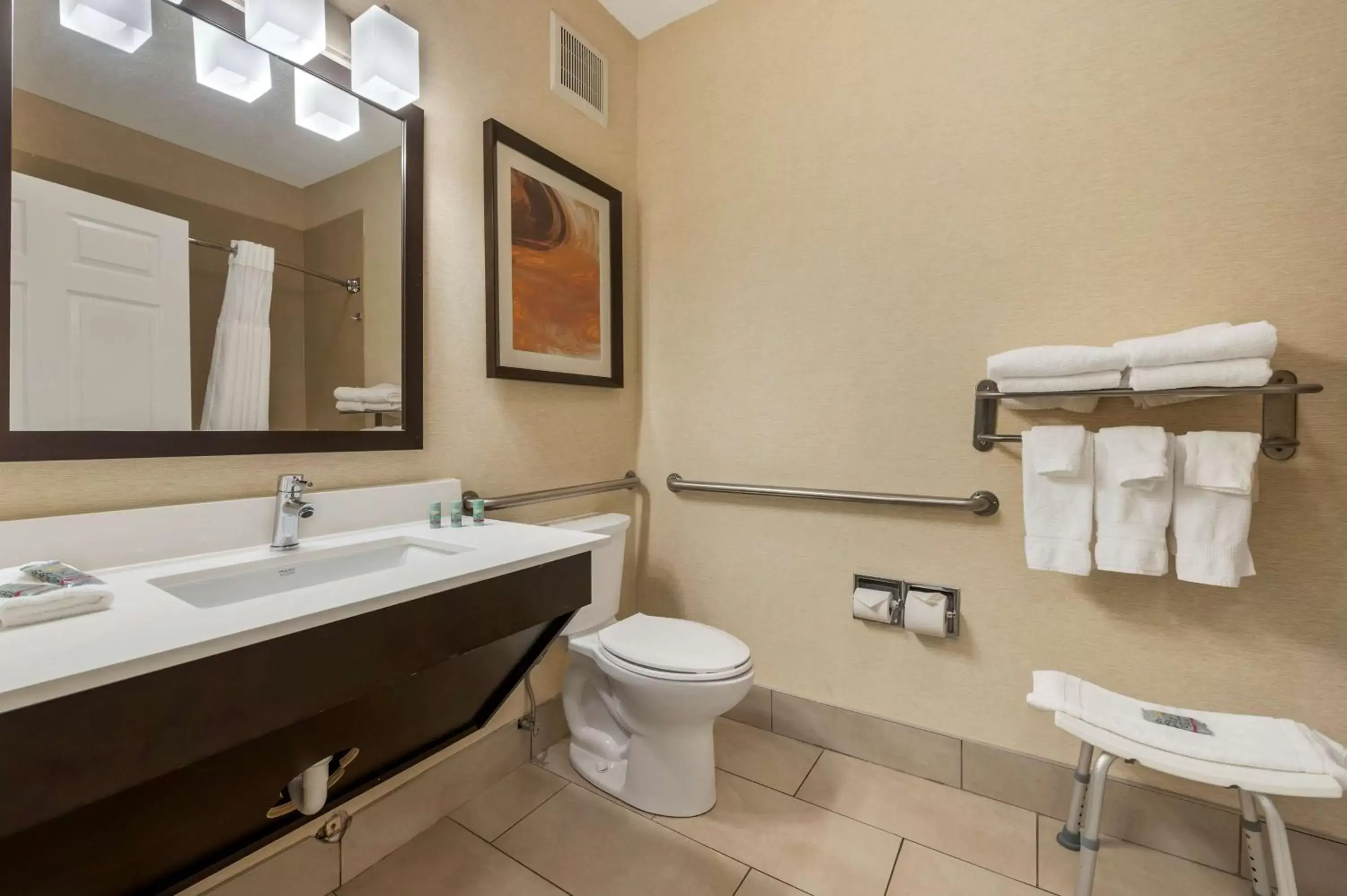 Bathroom in Best Western Hilliard Inn & Suites
