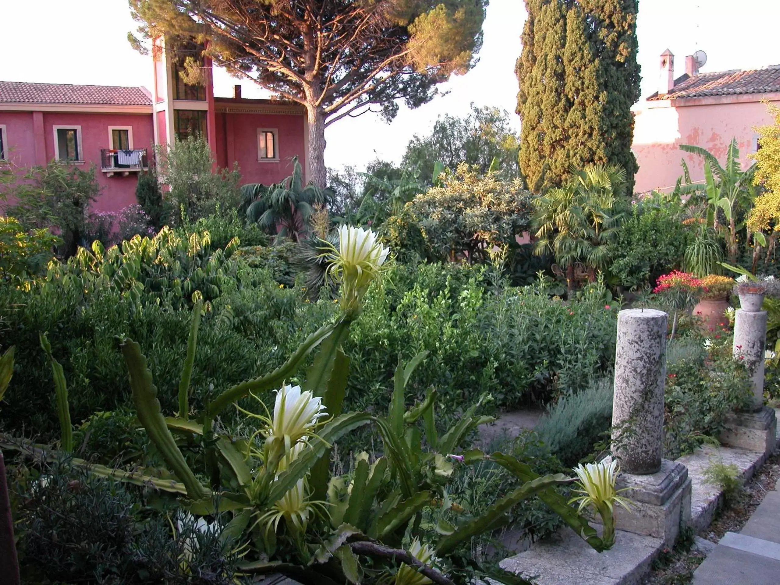 Garden in Hotel Villa Schuler