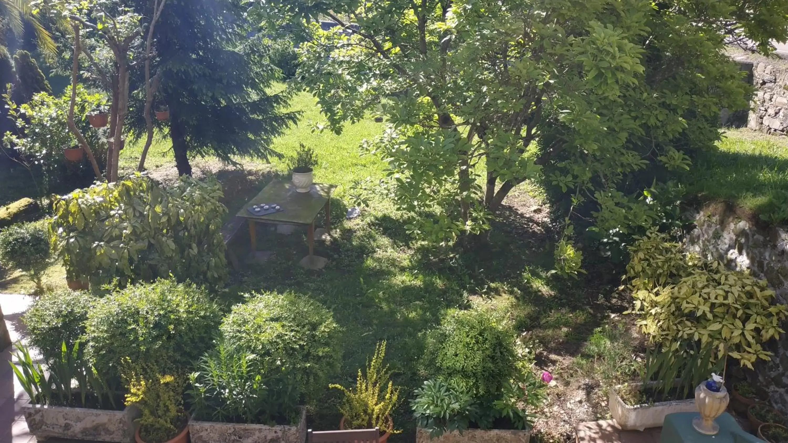 Garden view in Hotel Casa Vieja del Sastre