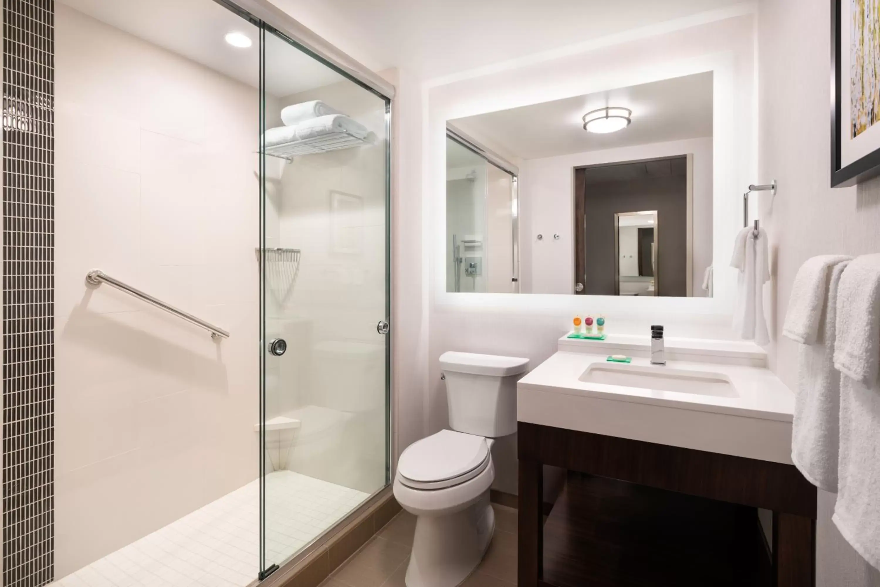 Shower, Bathroom in Hyatt Place San Francisco/Downtown