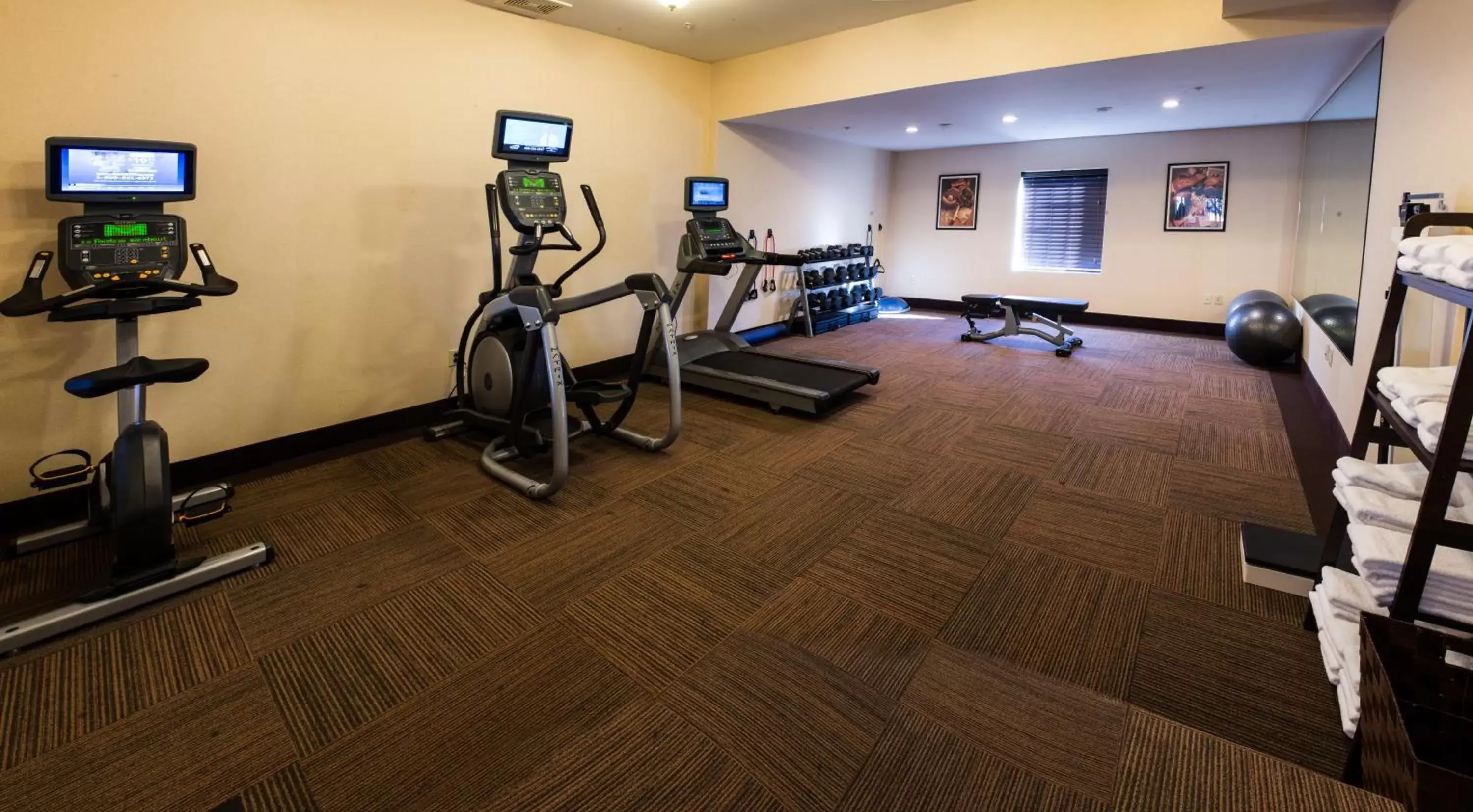 Fitness centre/facilities, Fitness Center/Facilities in Staybridge Suites Harrisburg-Hershey, an IHG Hotel