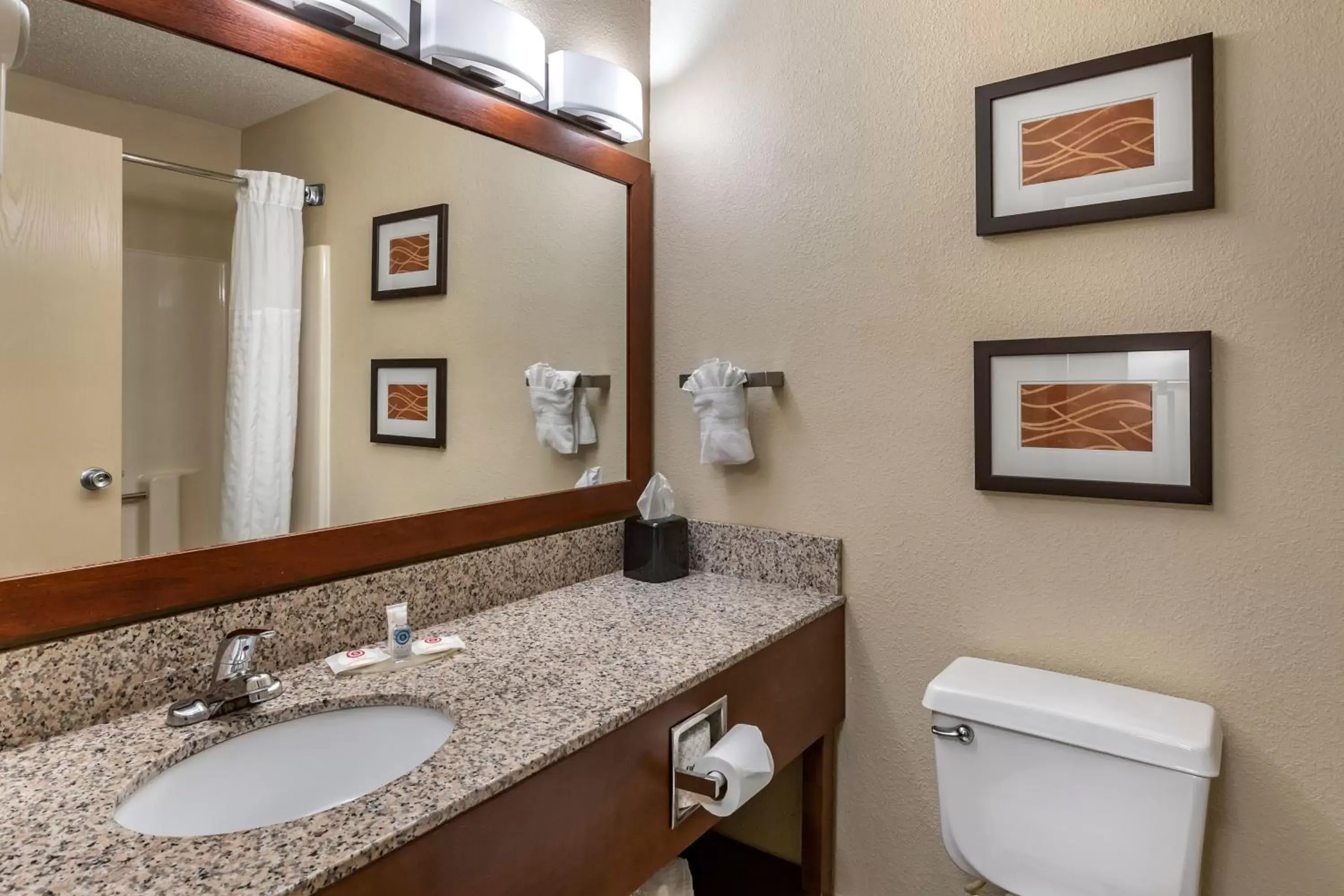 Bathroom in Comfort Inn Moline - Quad Cities Bathroom in Comfort Inn Moline - Quad Cities