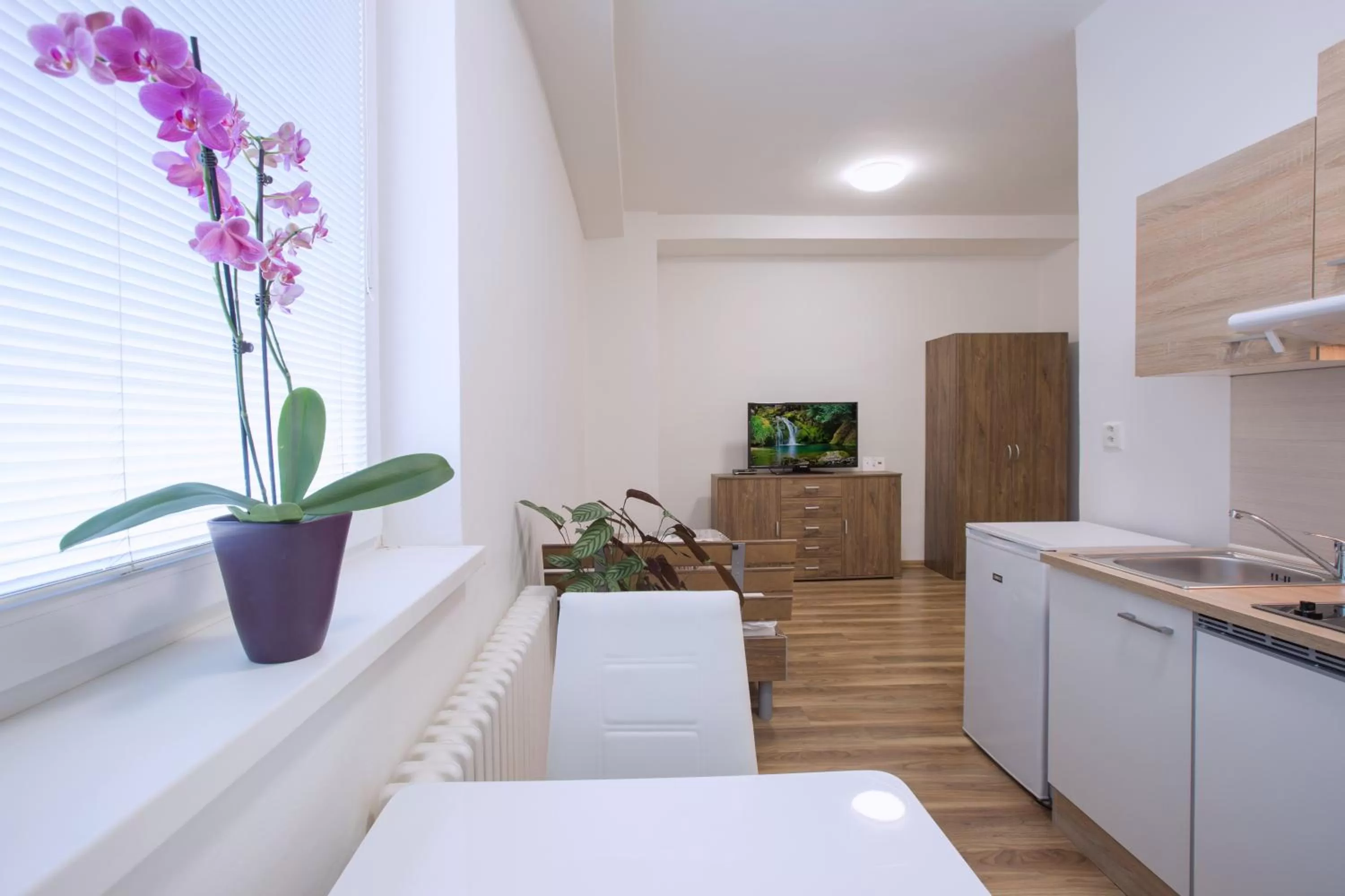 Decorative detail in Agro Complex Apartments