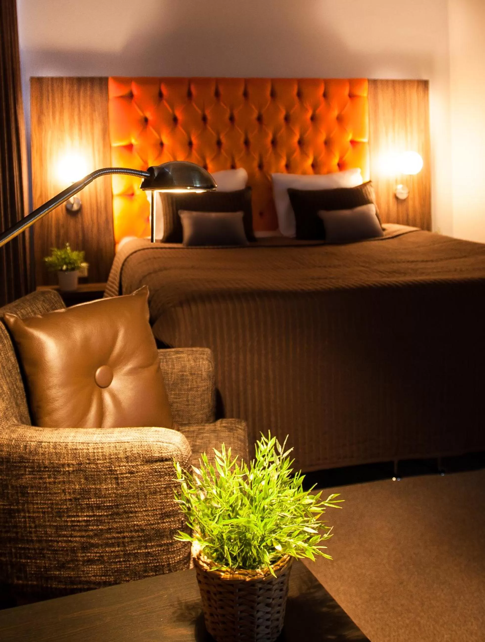 Photo of the whole room in Hotel La Reine