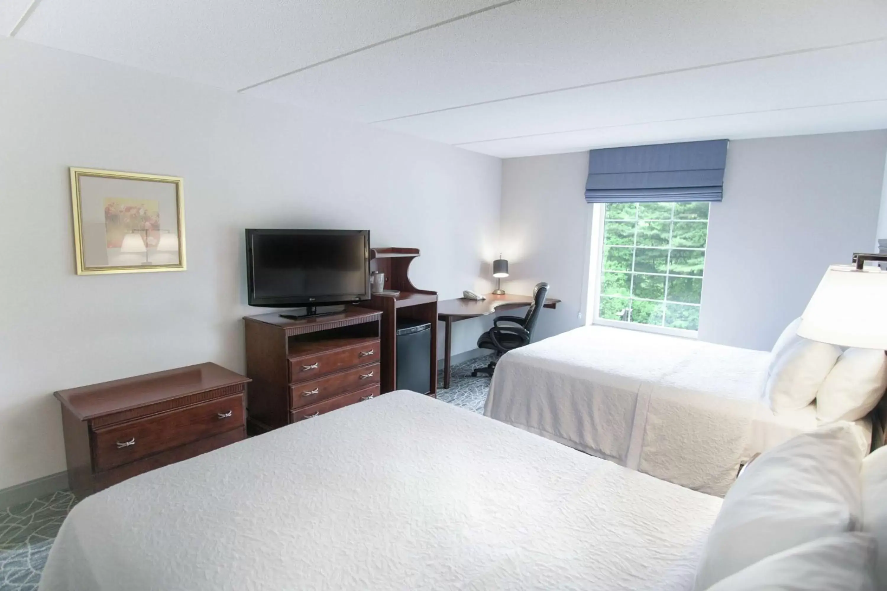 Bed, TV/Entertainment Center in Hampton Inn & Suites Berkshires-Lenox
