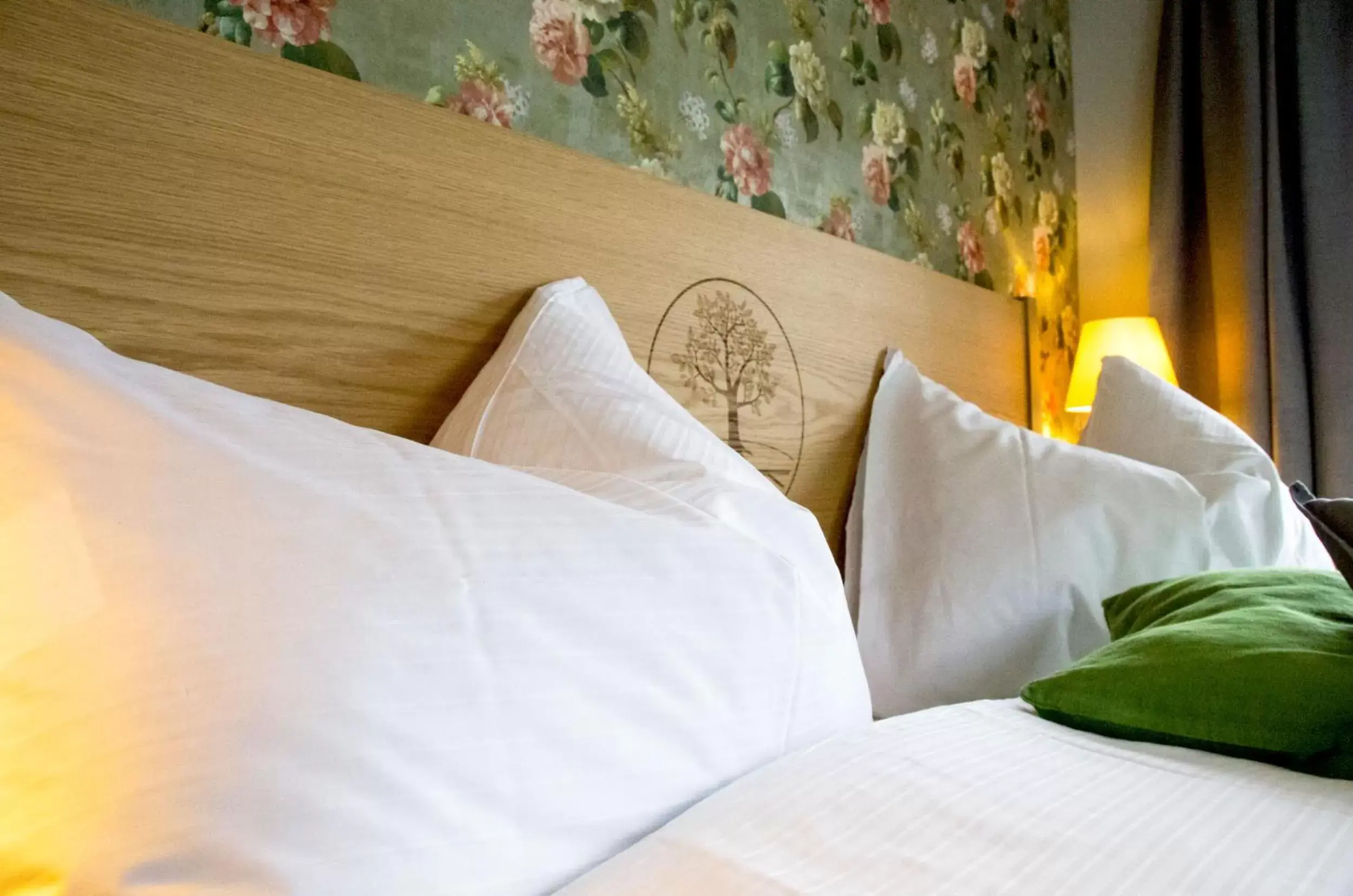 Double Room - single occupancy in Gasthaus zum Bauernhof Double Room - single occupancy in Gasthaus zum Bauernhof