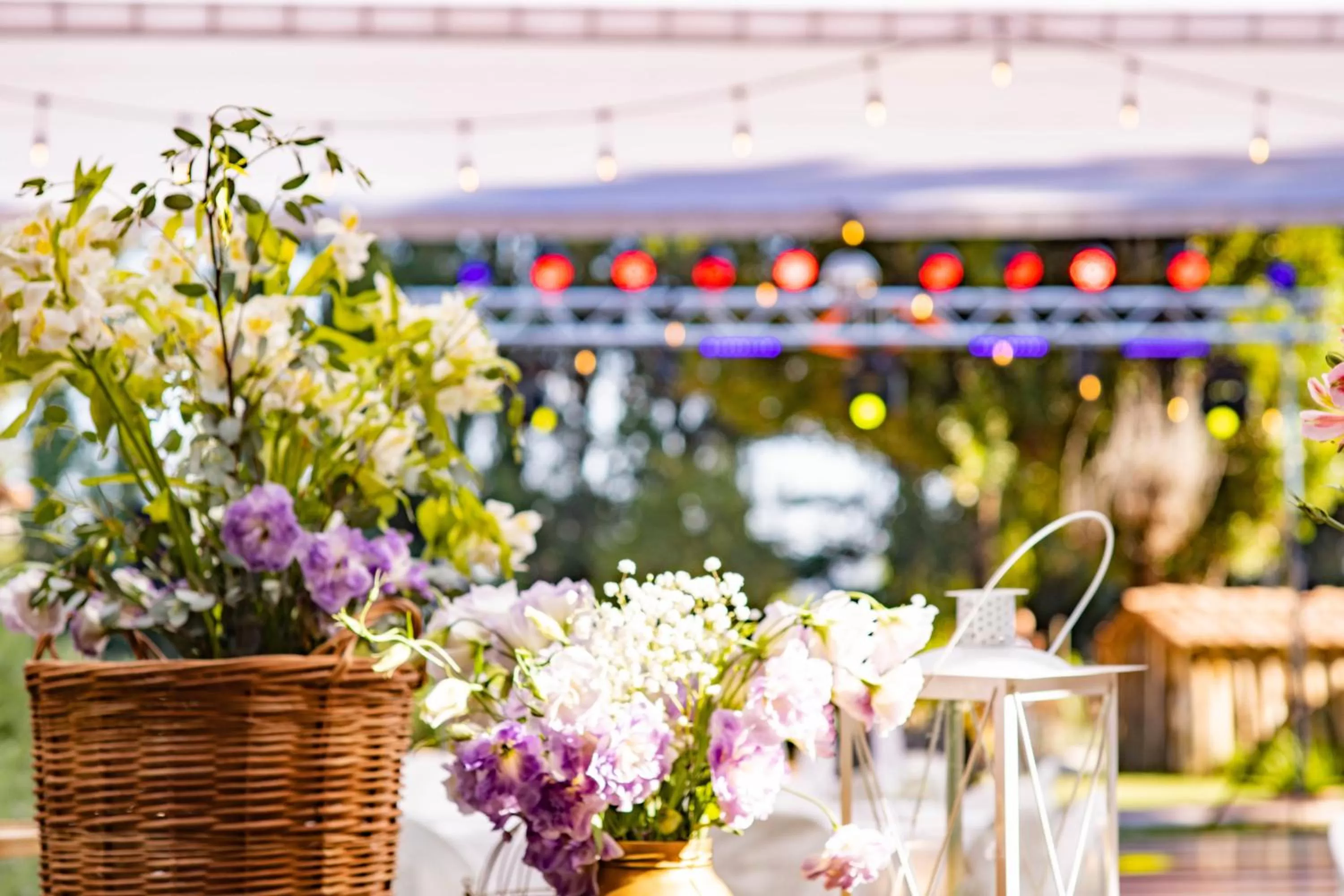 Garden view in Hotel Boutique Raíces de Colchagua