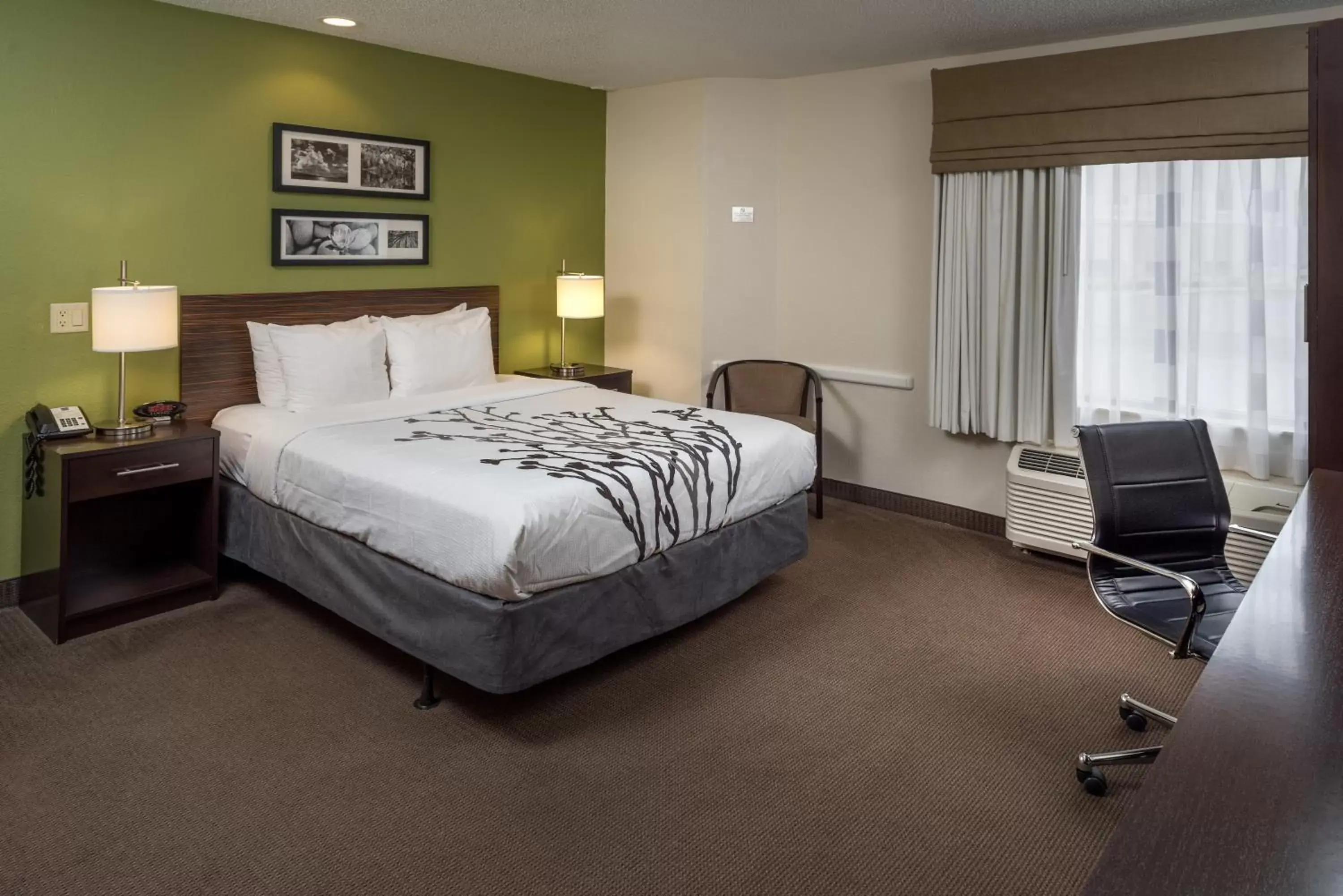 Queen Room with Accessible Tub - Accessible/Non-Smoking in Sleep Inn & Suites Cross Lanes - South Charleston