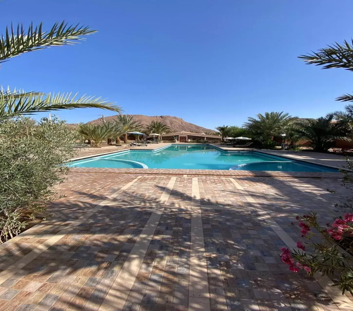 Swimming pool in La Perle Du Drâa