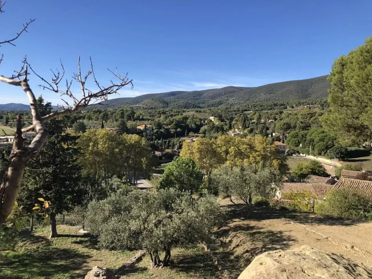 Natural landscape in Mas Allard