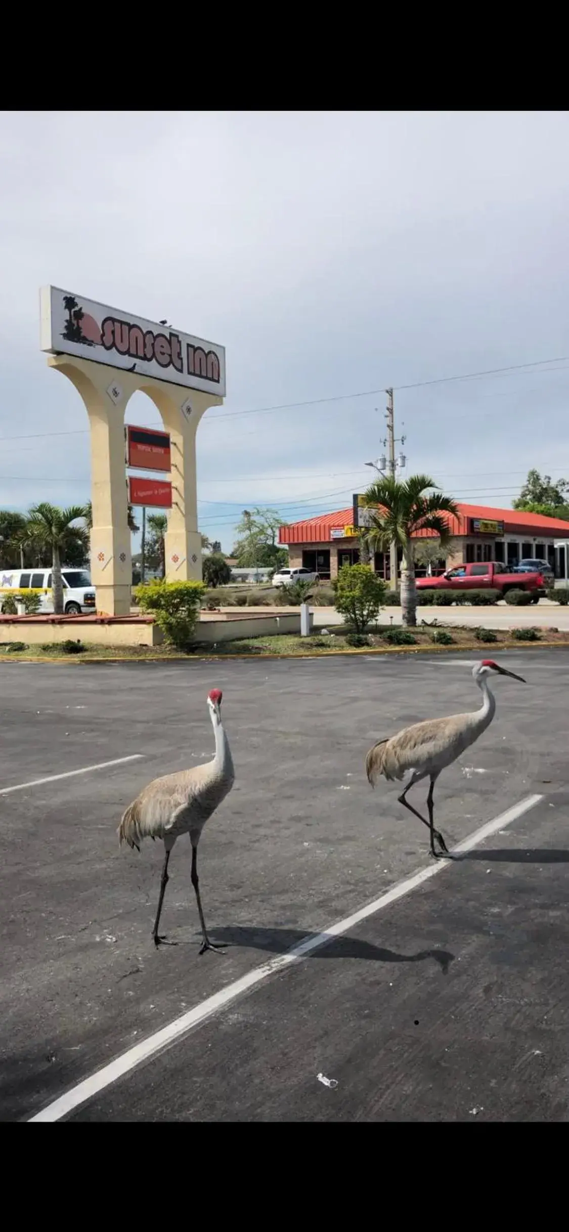 Sunset Inn- Fort Pierce, FL