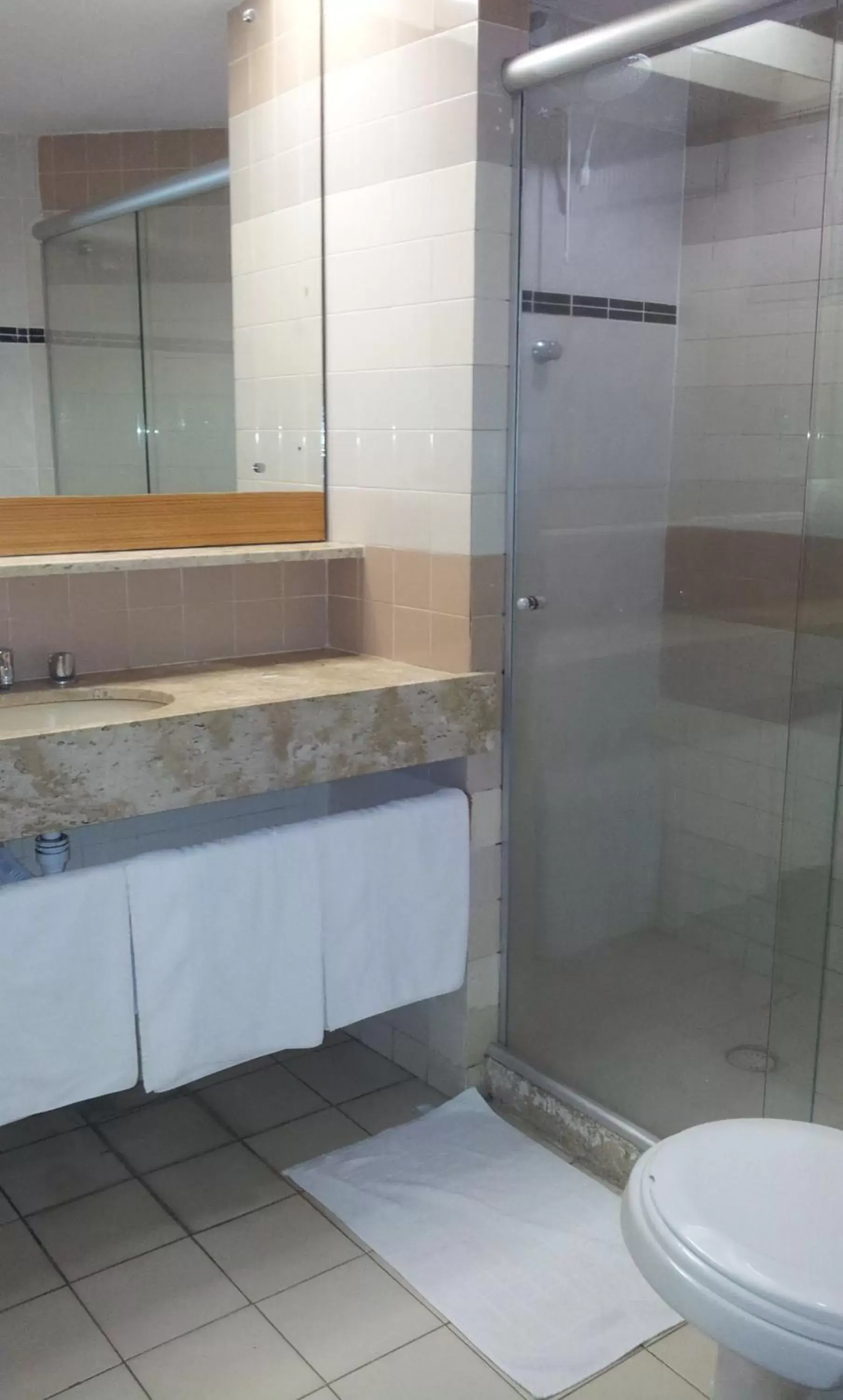 Bathroom in Rede Andrade Plaza Recife