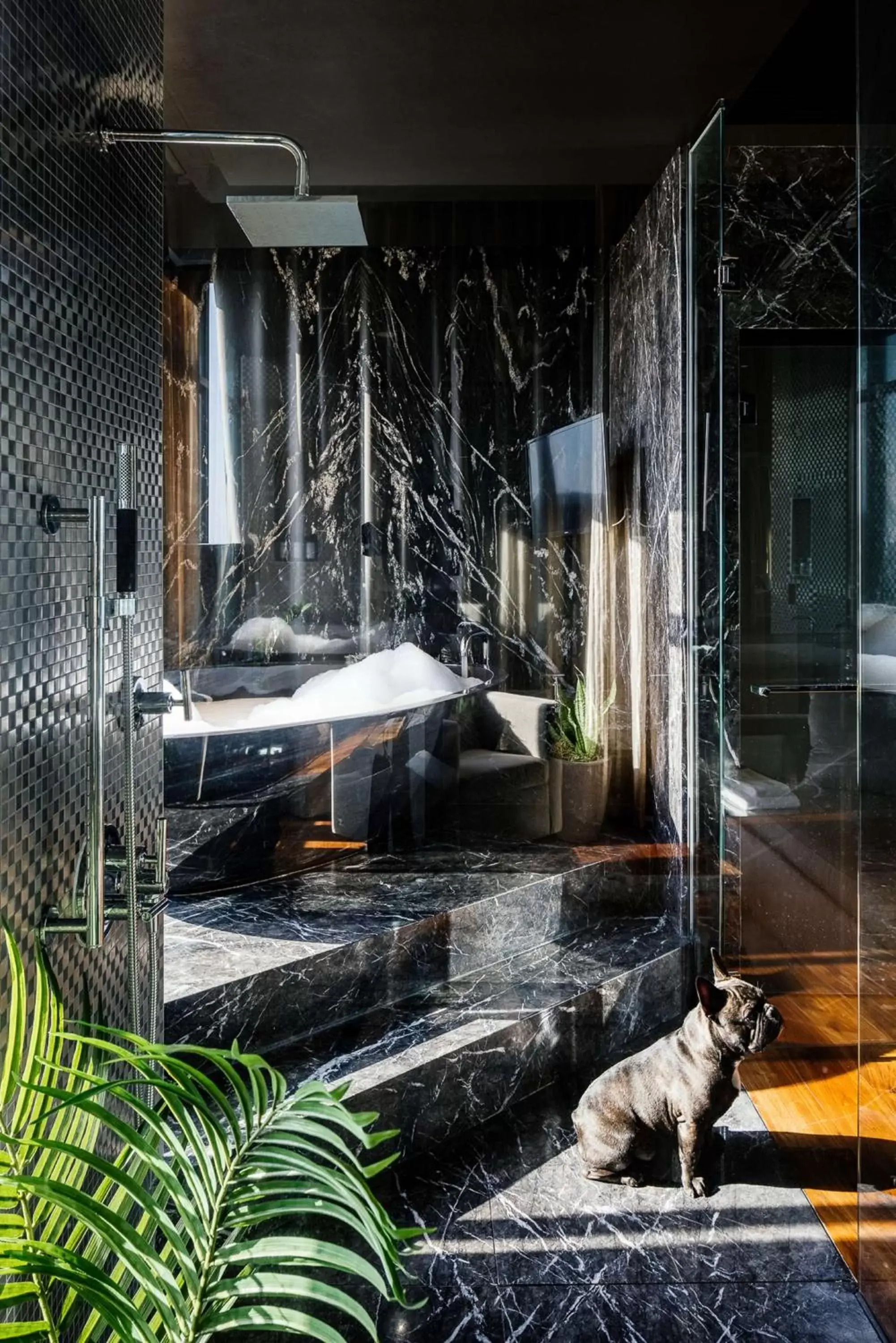 Bathroom, Pets in Dream Hollywood, Part Of Hyatt