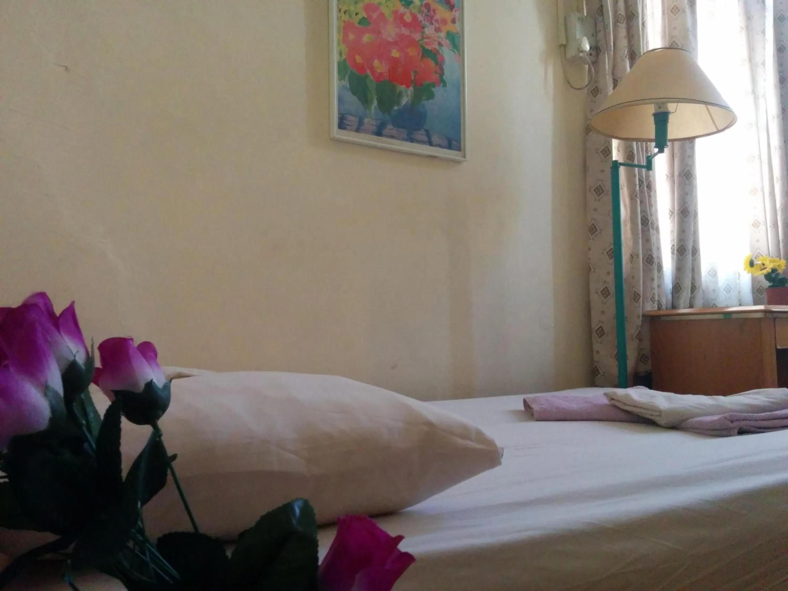 Bed in Momo's Hostel