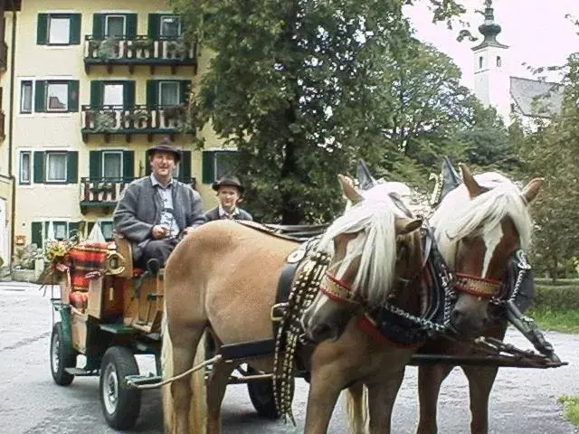 People, Horseback Riding in Torrenerhof