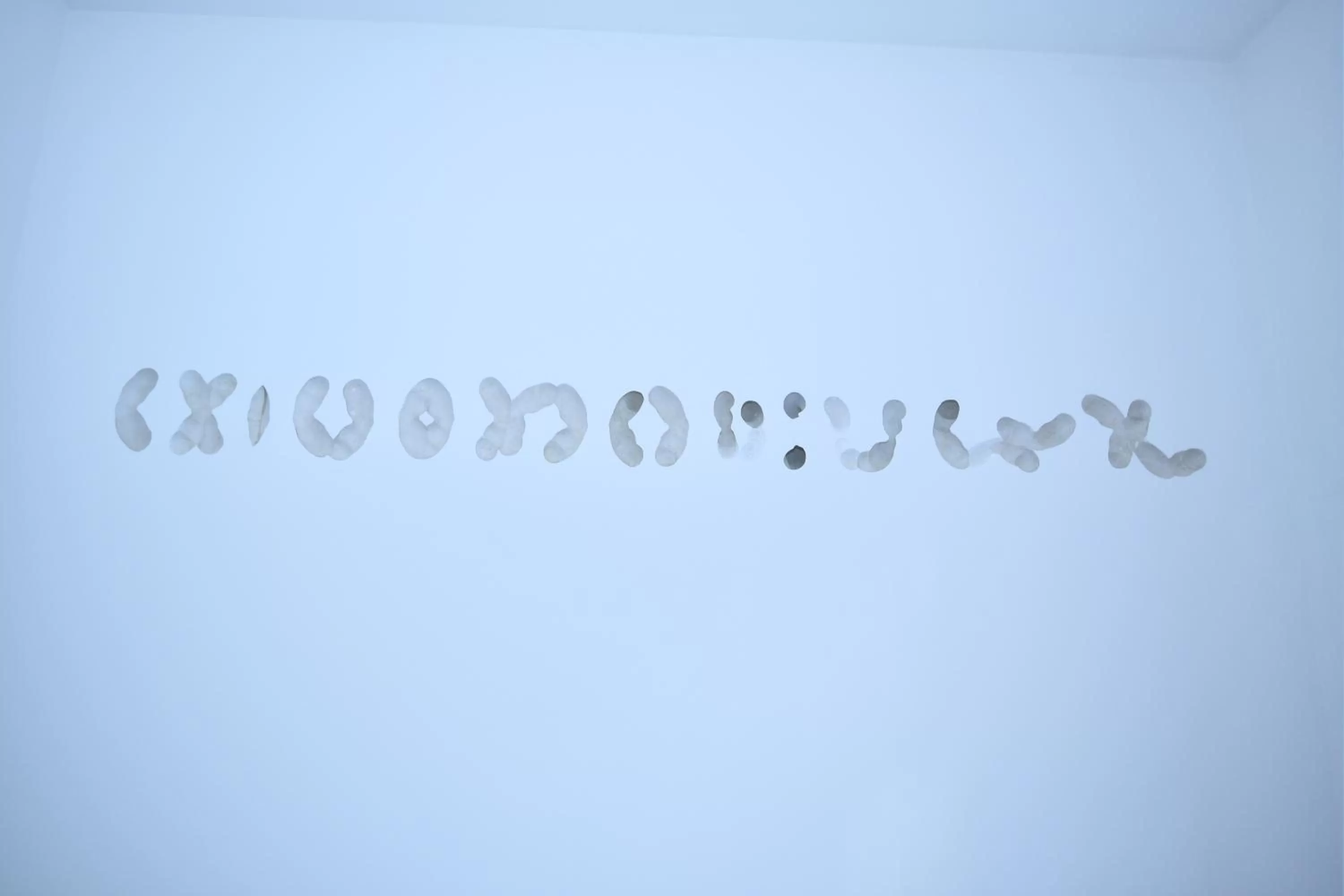 Art-Hotel Robert Mayer