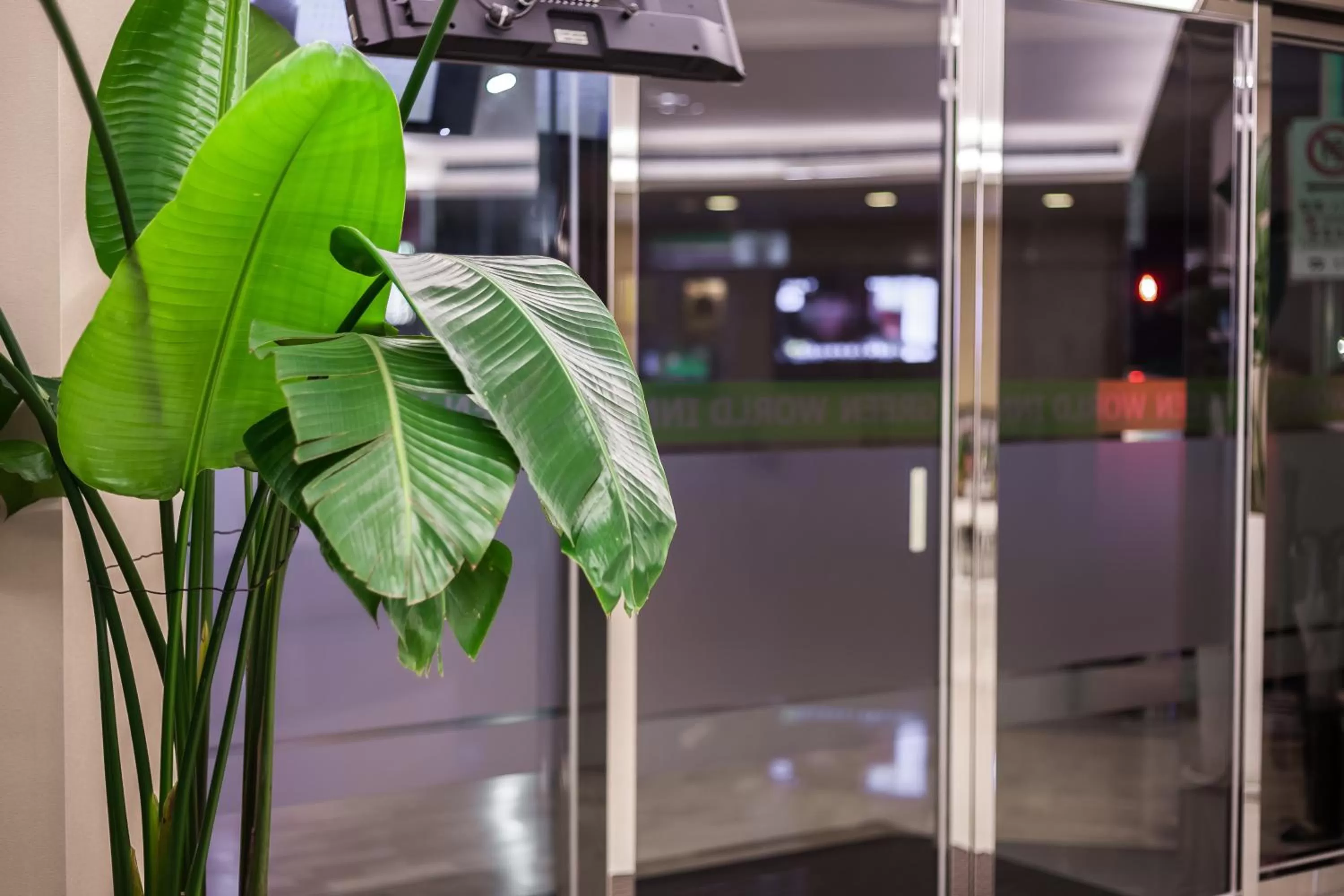 Property building in Green World Linsen