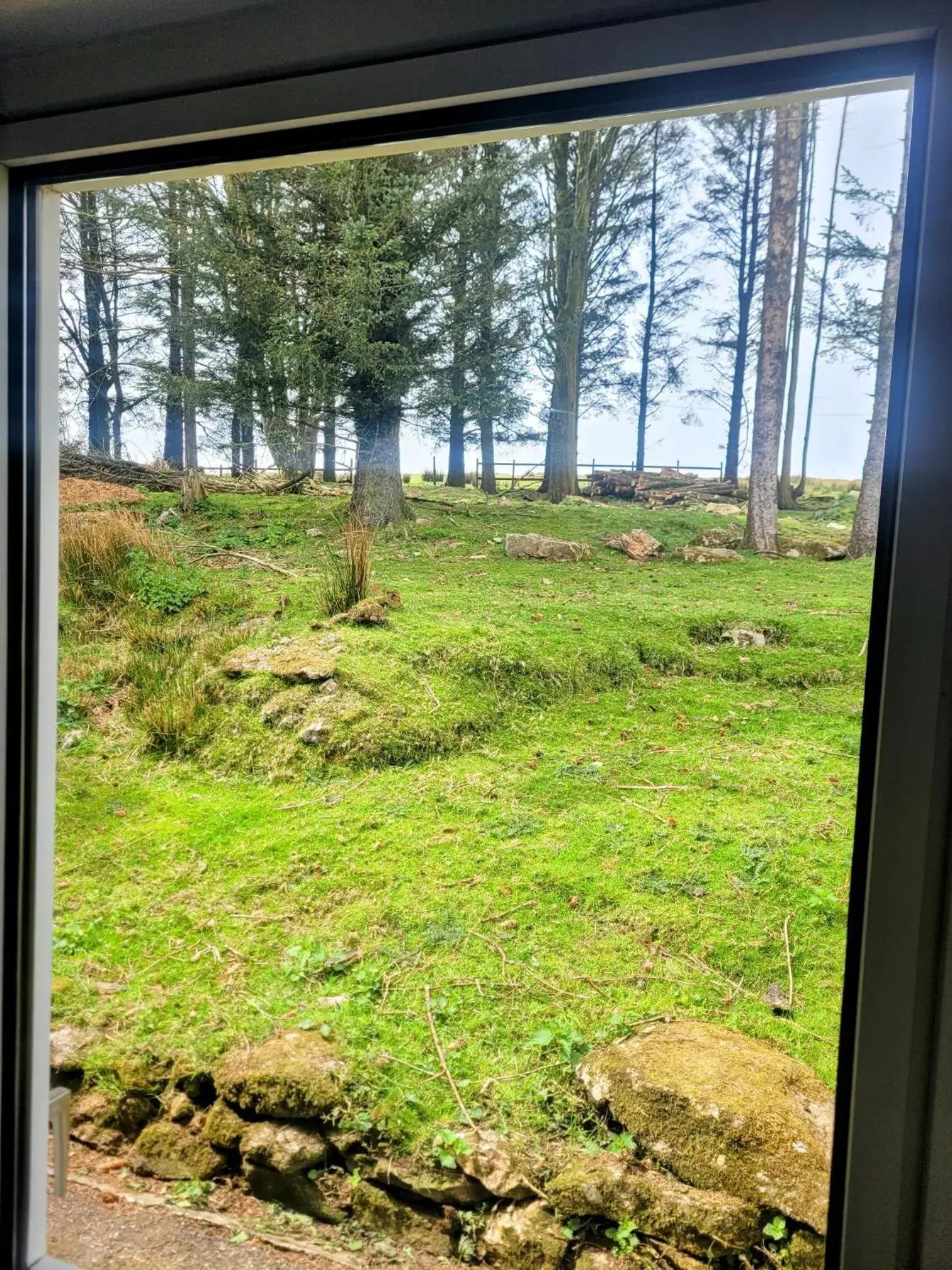 Garden view in Wheal Tor