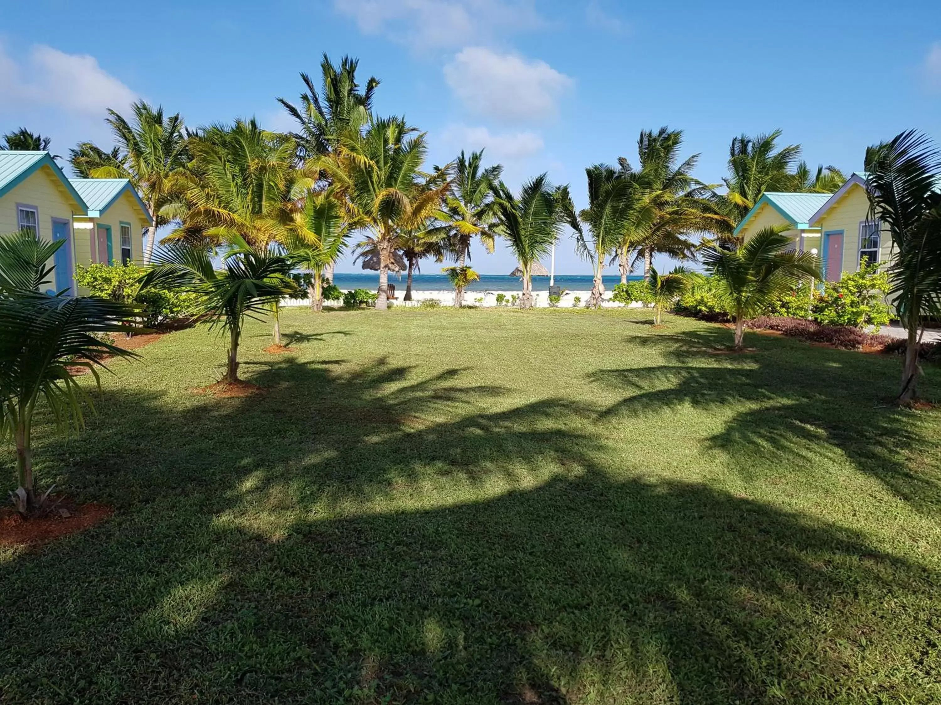 Garden in Royal Caribbean Resort