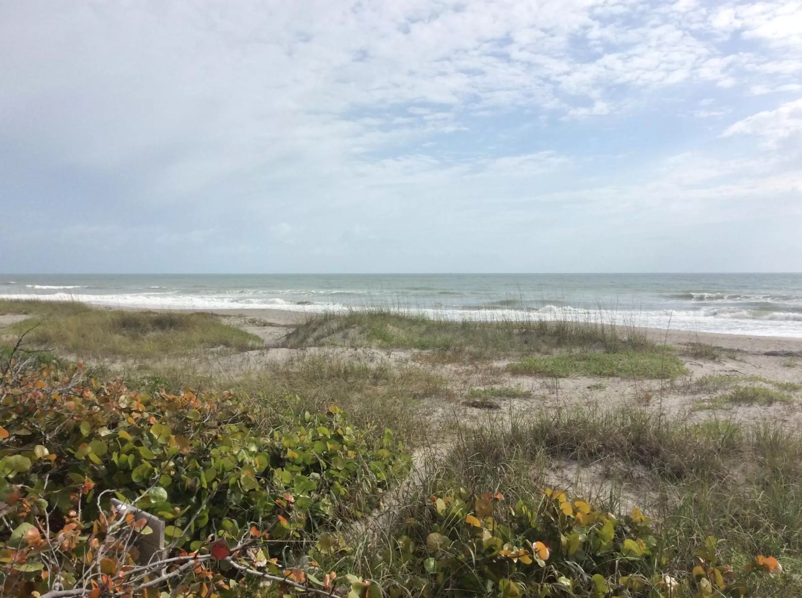 Beach in Lost Inn Paradise