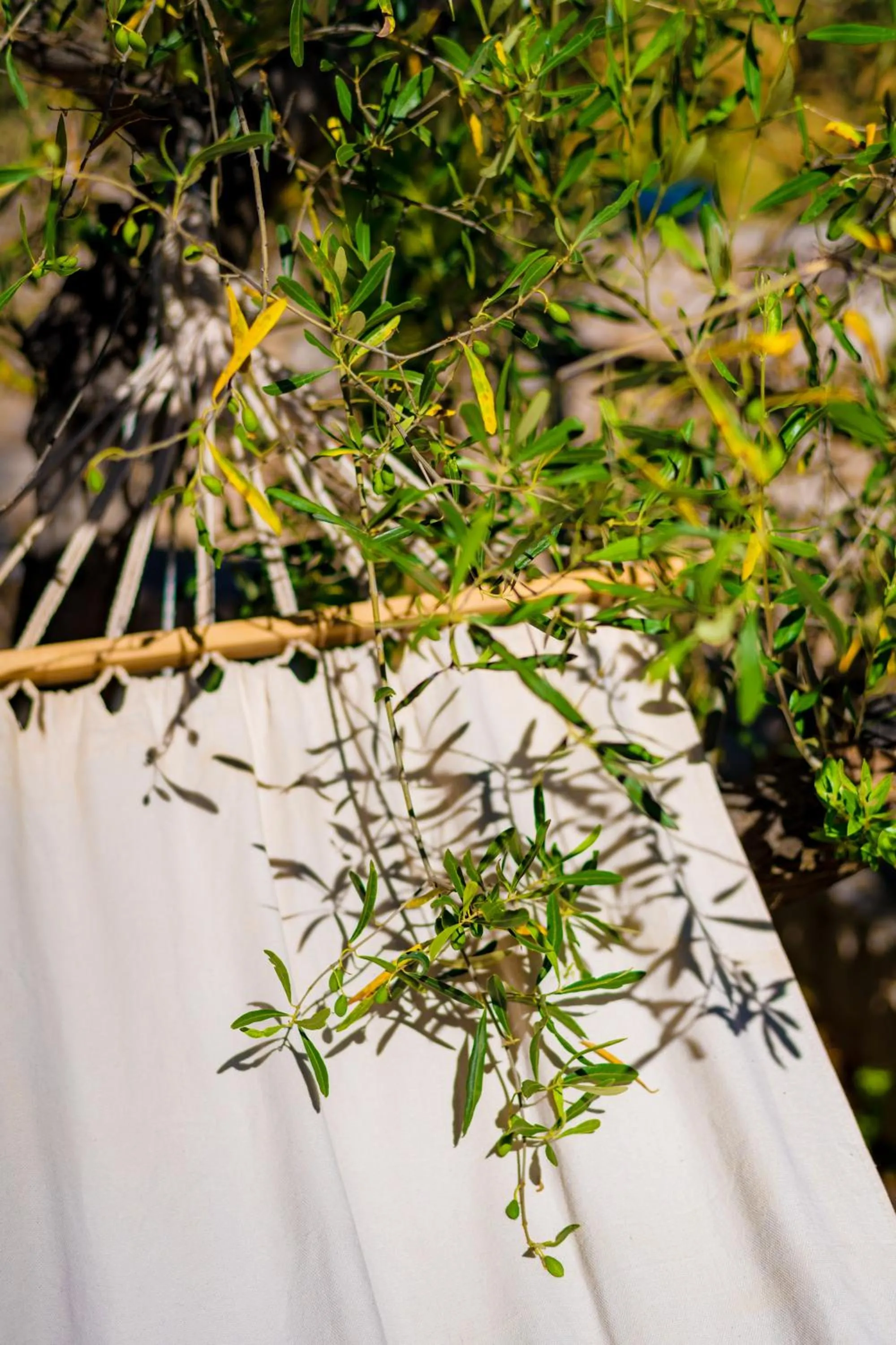 Spring in Anthemion Suites and Villas