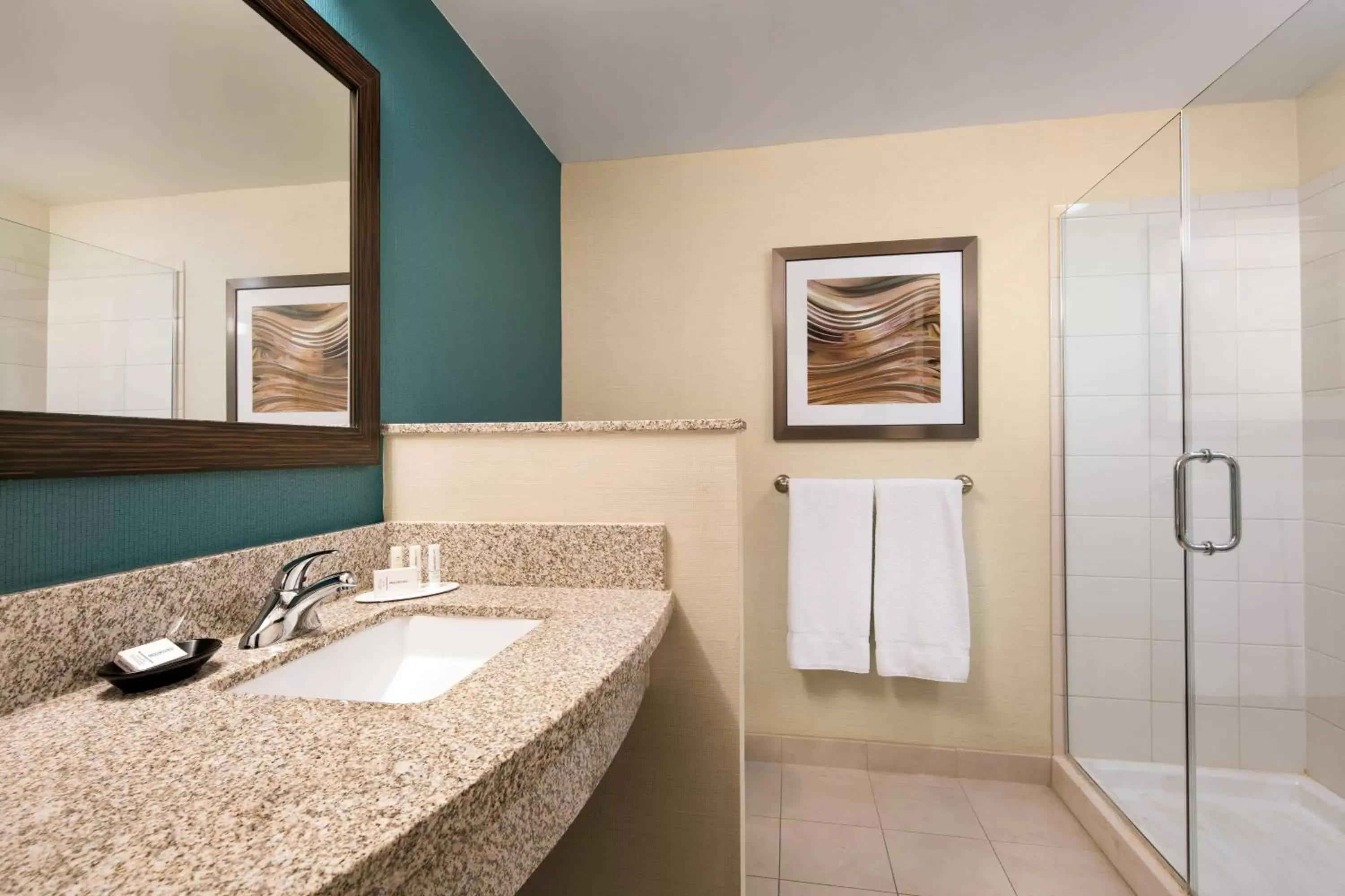 Bathroom in Courtyard by Marriott Glenwood Springs