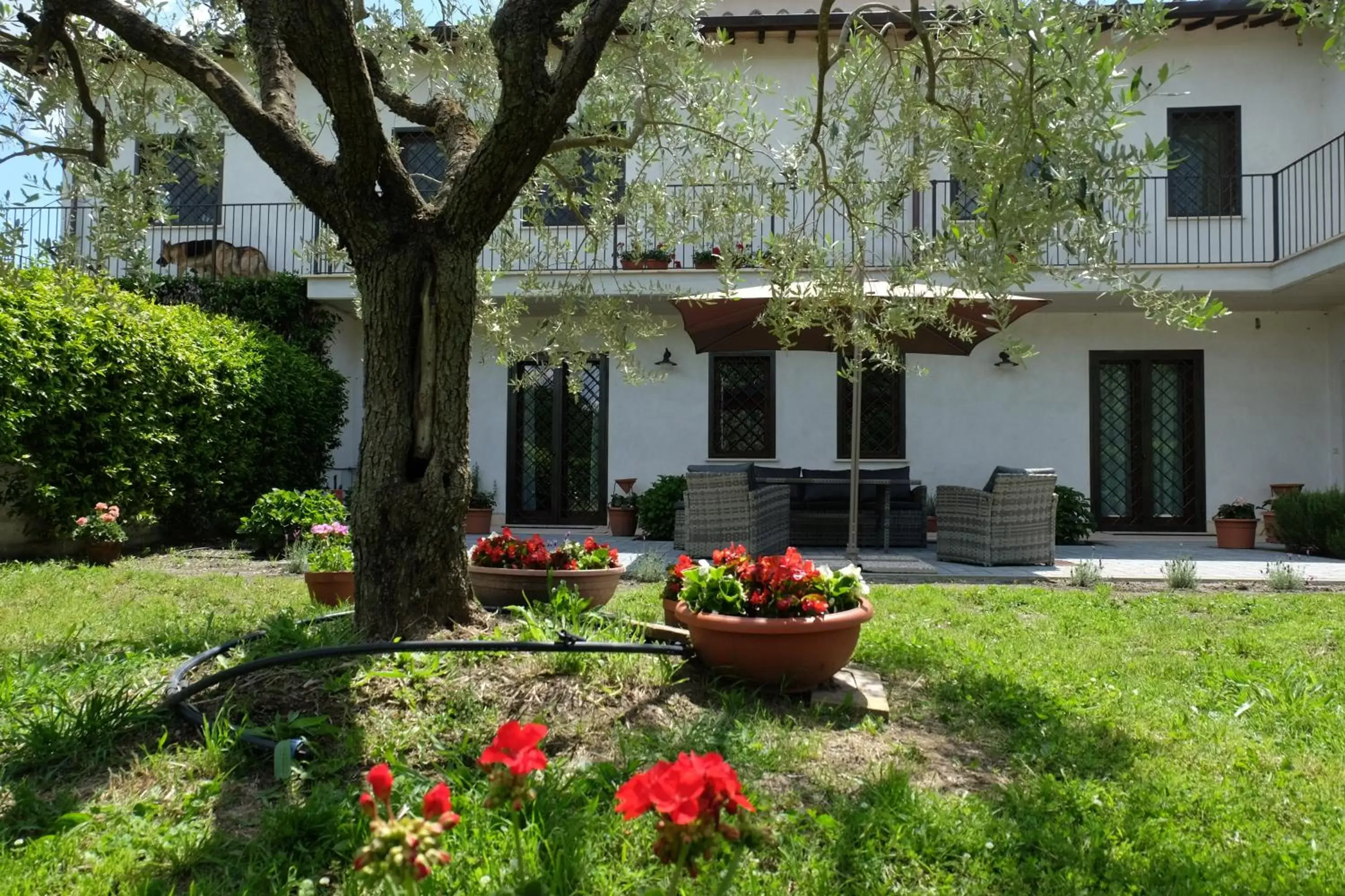 Property building, Garden in L'Orto sul Poggio