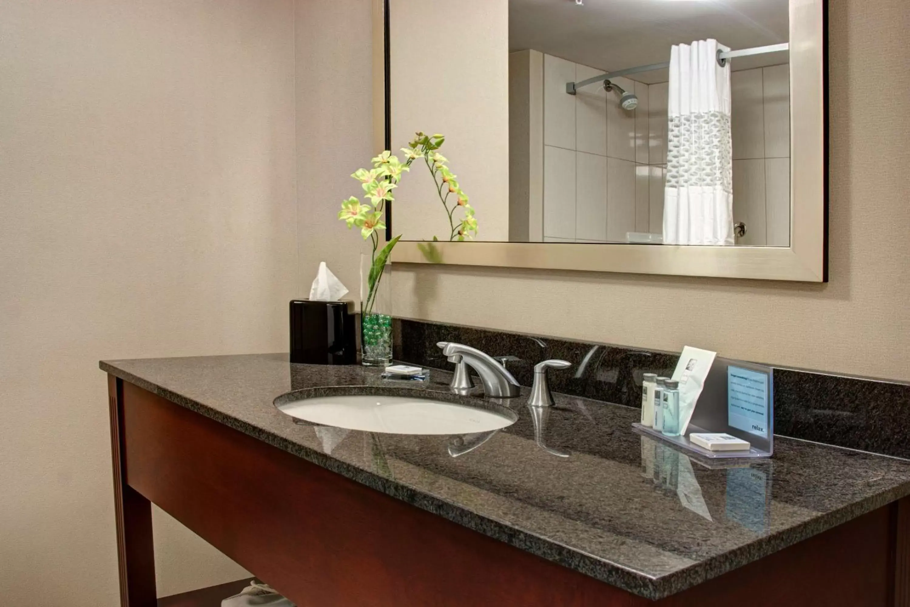 Bathroom in Hampton Inn by Hilton Brampton - Toronto