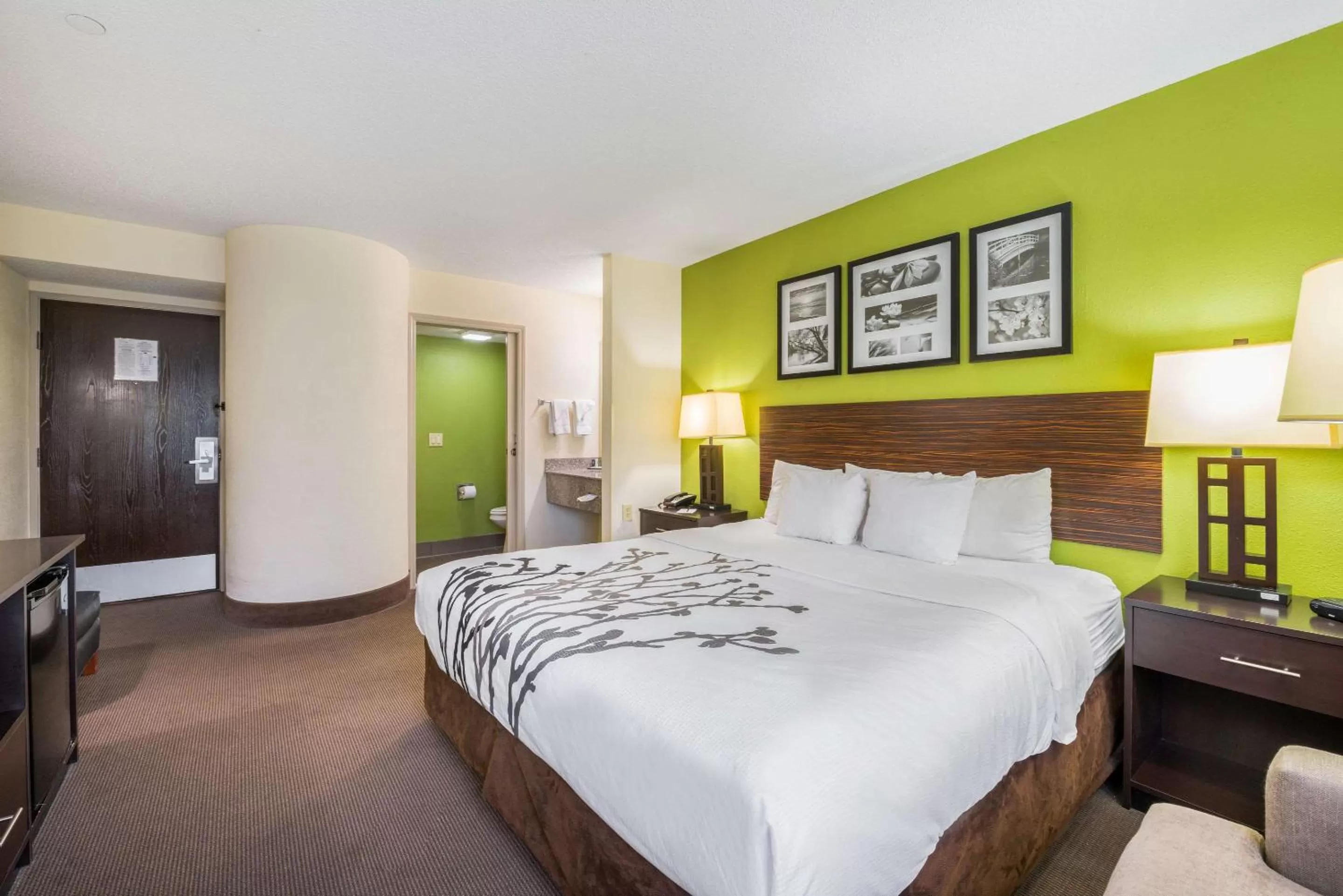 Standard King Room - Non-Smoking  in Sleep Inn Statesville I-40