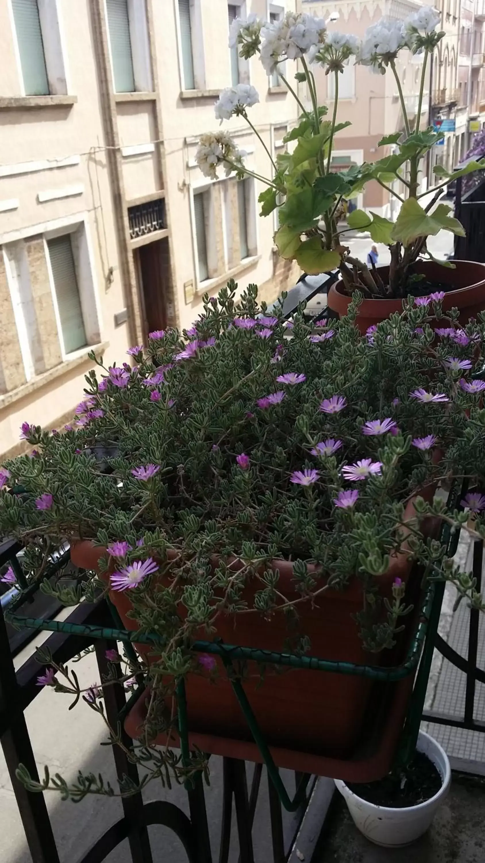 Street view in B&B 95 a Lecce