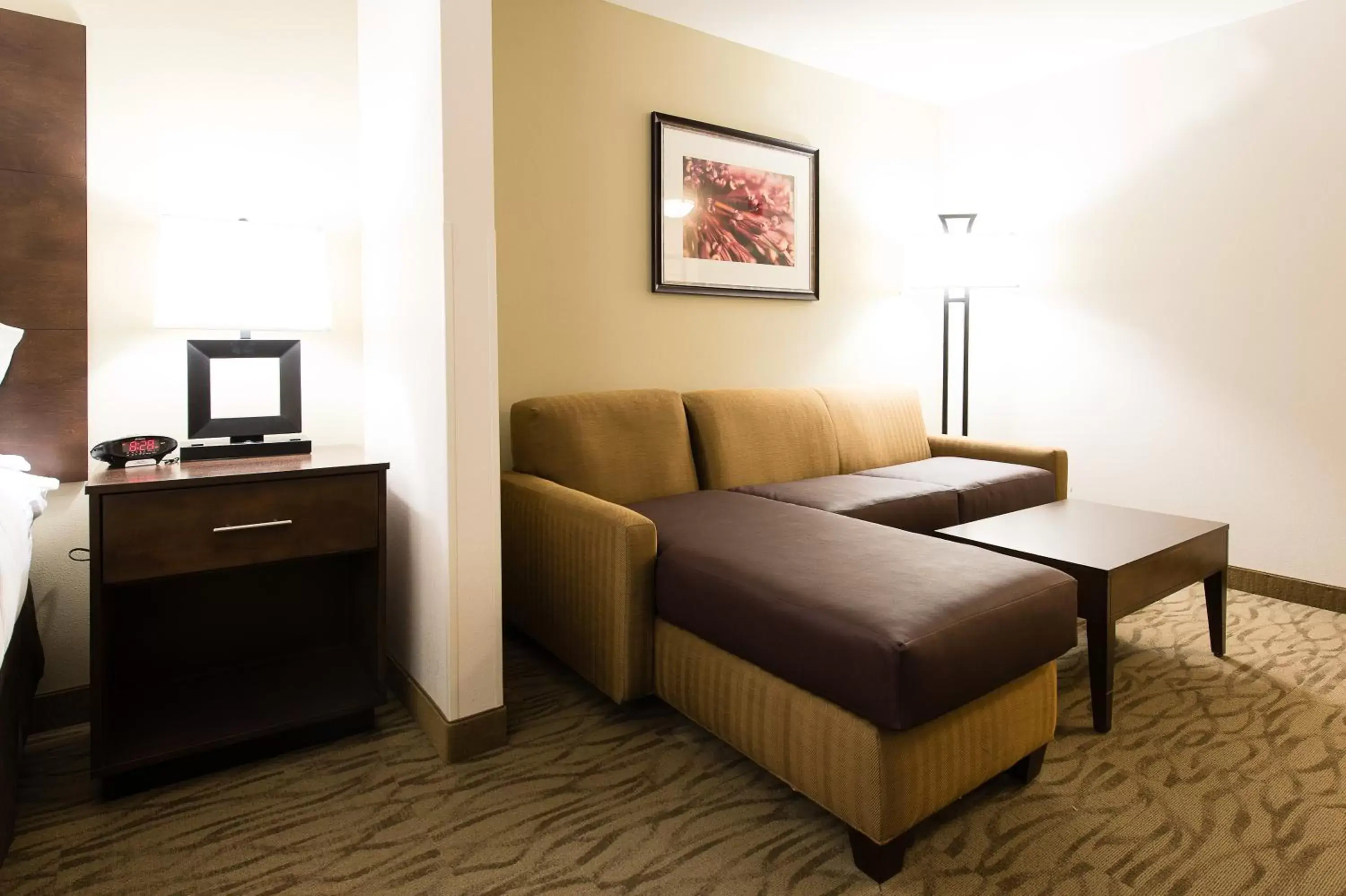 Seating Area in Holiday Inn Express & Suites Aiken, an IHG Hotel