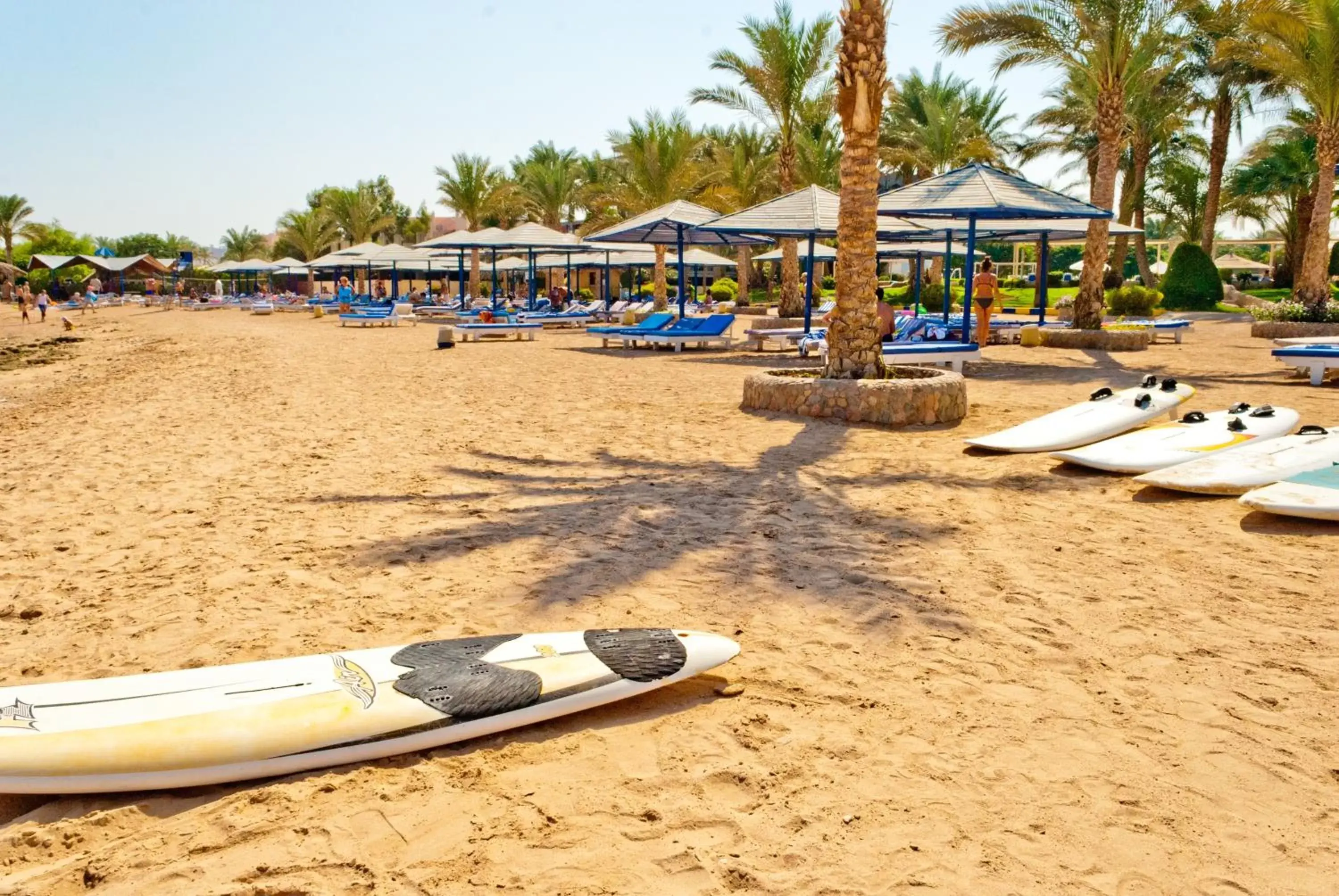 Day, Beach in ZYA Regina Resort and Aqua Park Hurghada