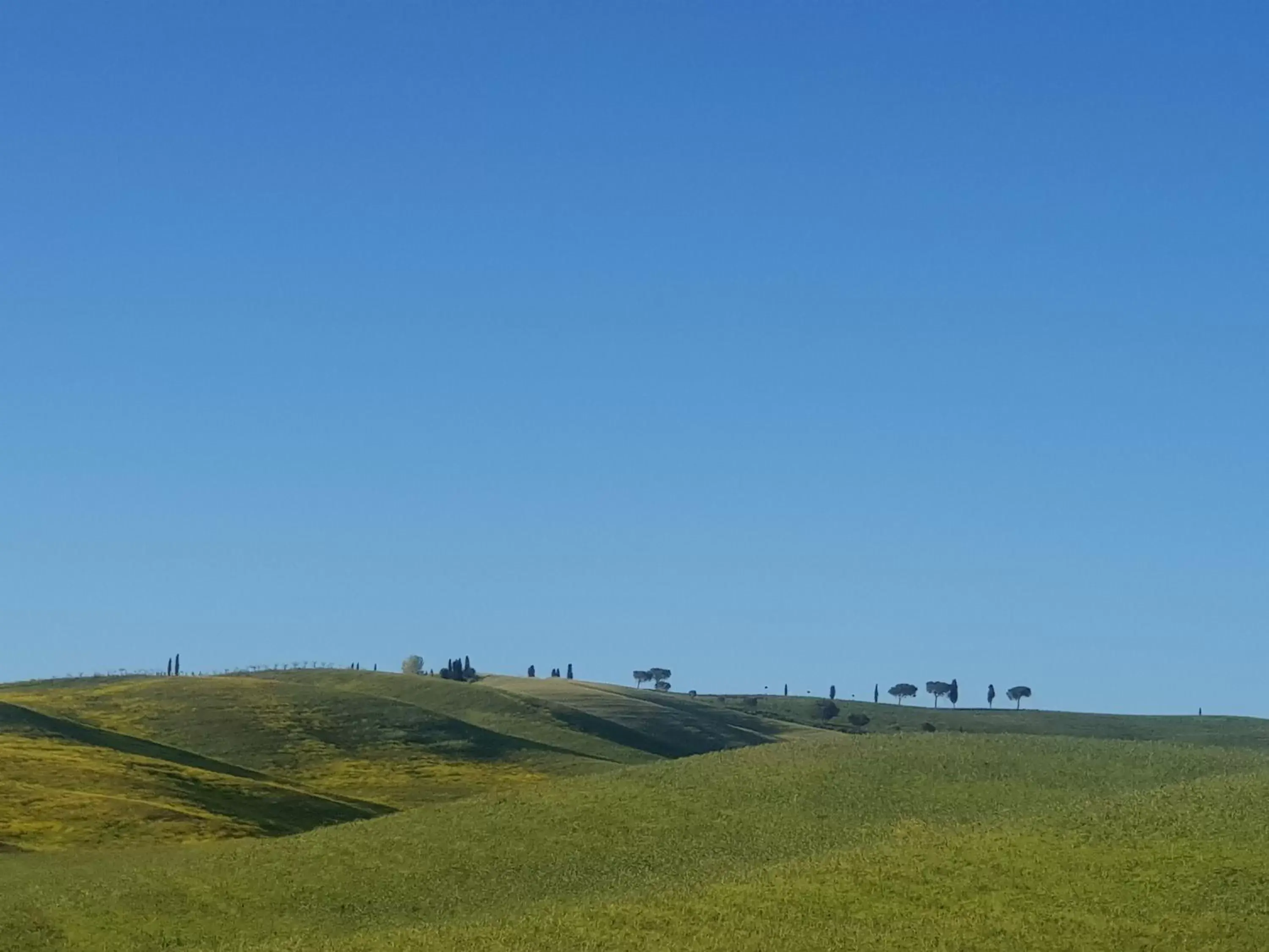 Natural landscape in Palazzetto del Pittore