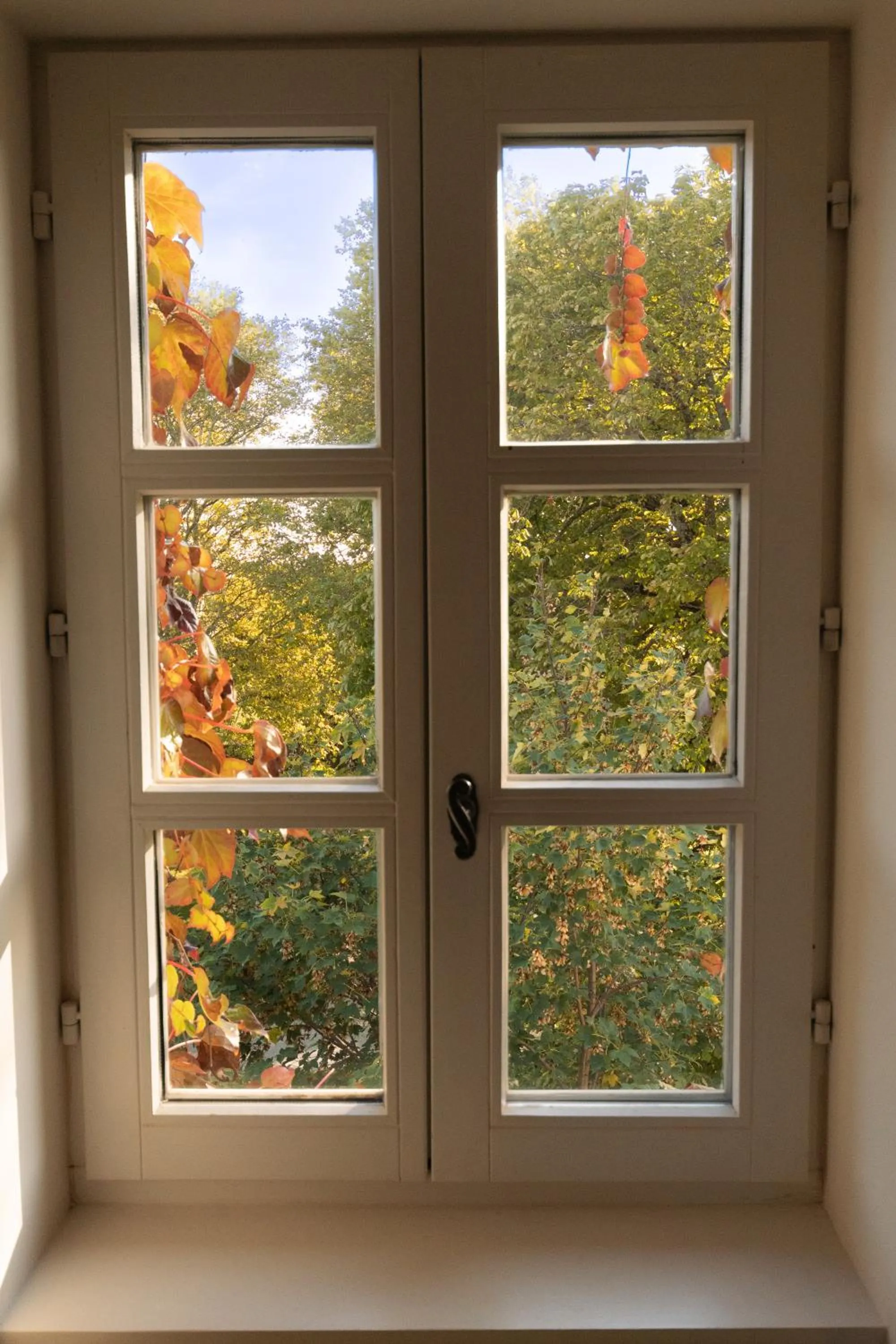 Le Domaine Du Colombier