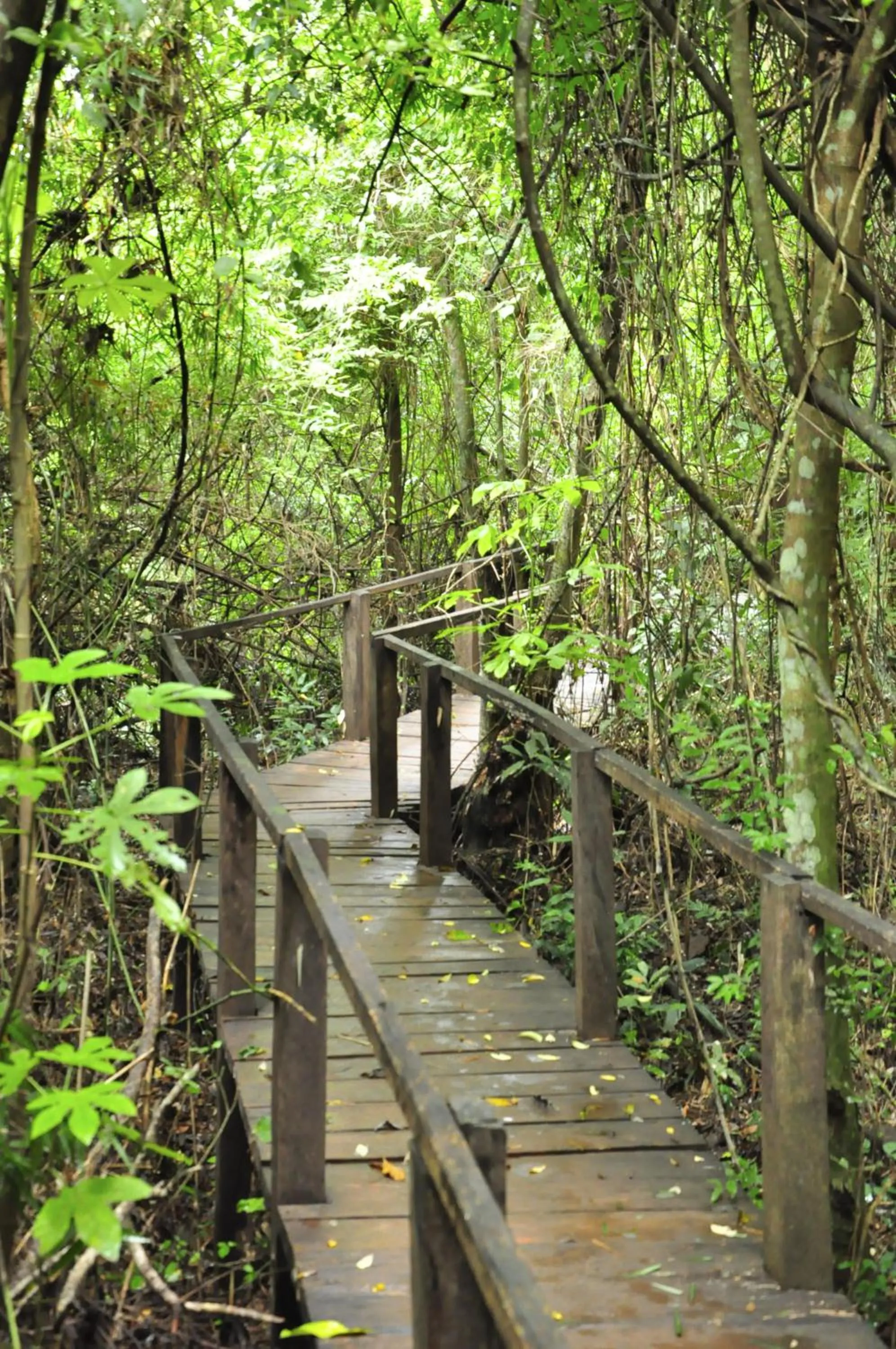 Garden in El Pueblito Iguazú