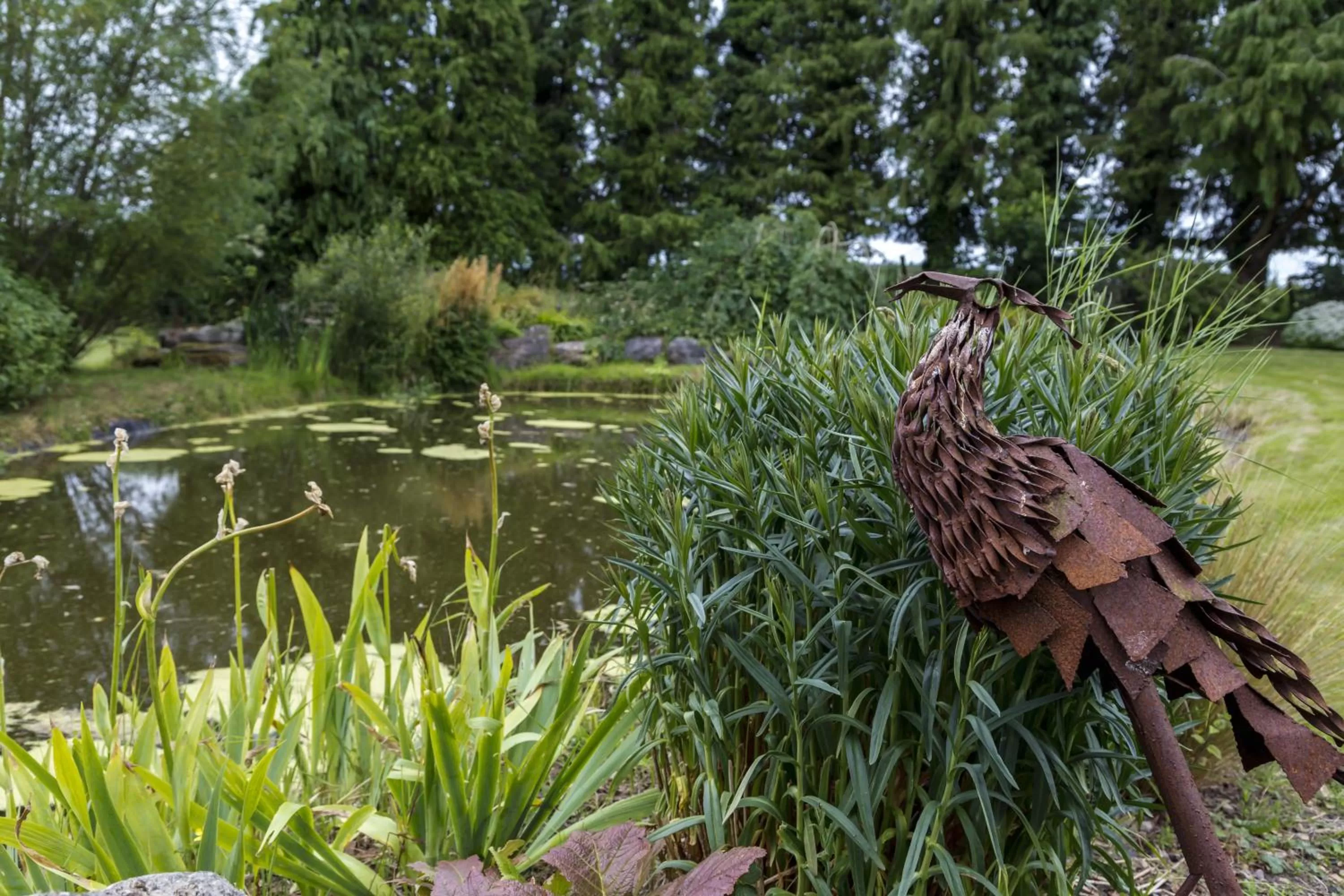 Other Animals in College Hill House