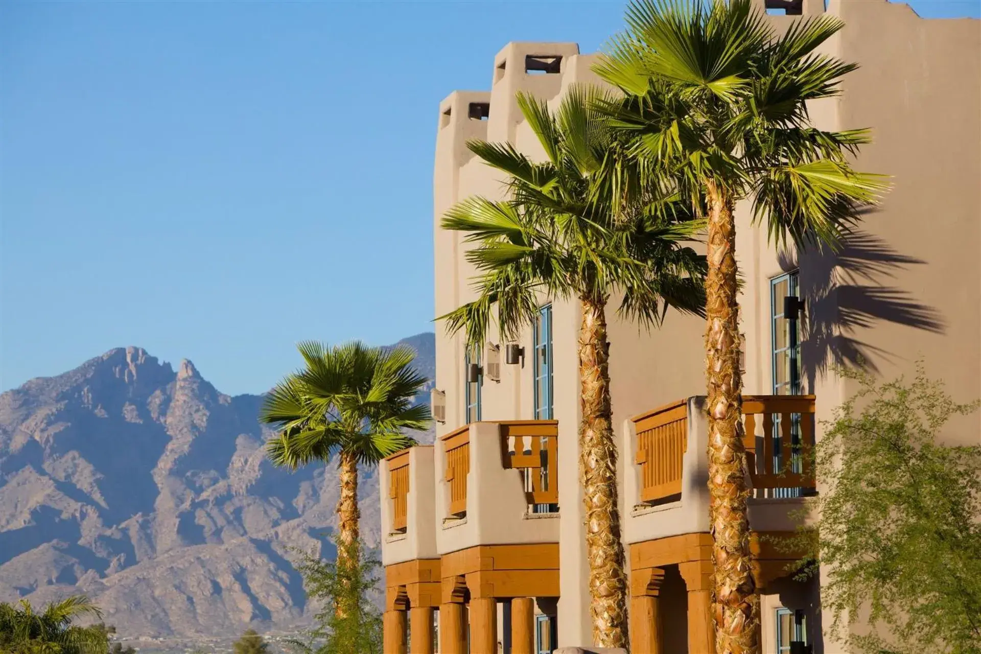 Property Building in Lodge On The Desert