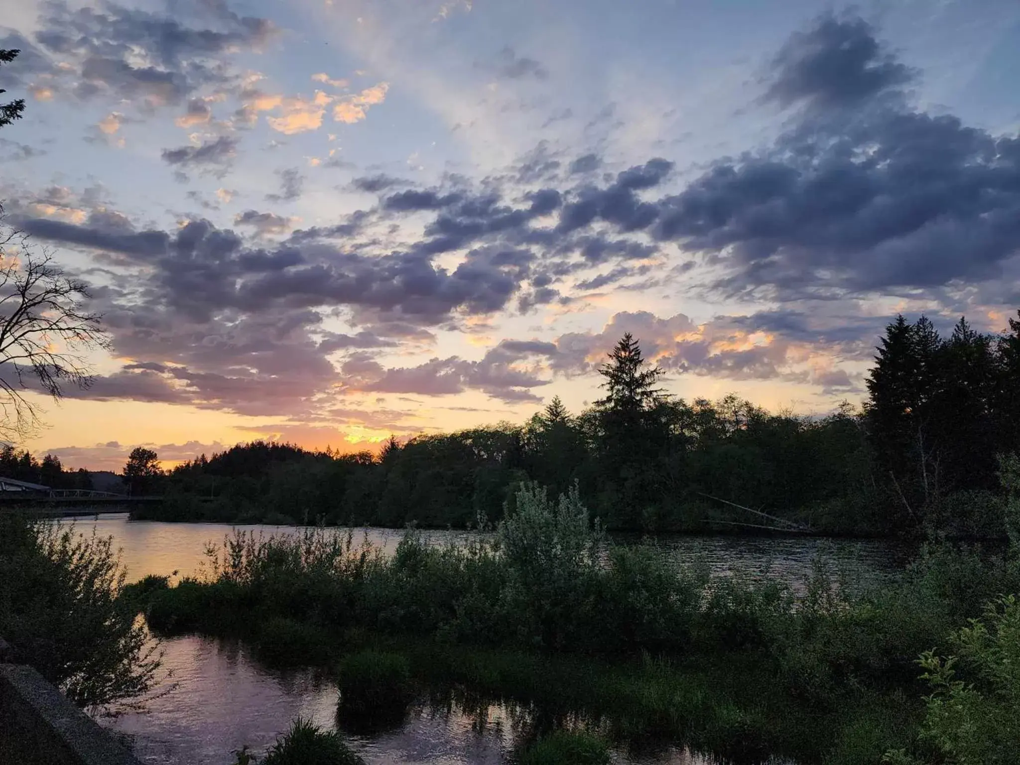 Natural Landscape in Campbell River Lodge by Riverside