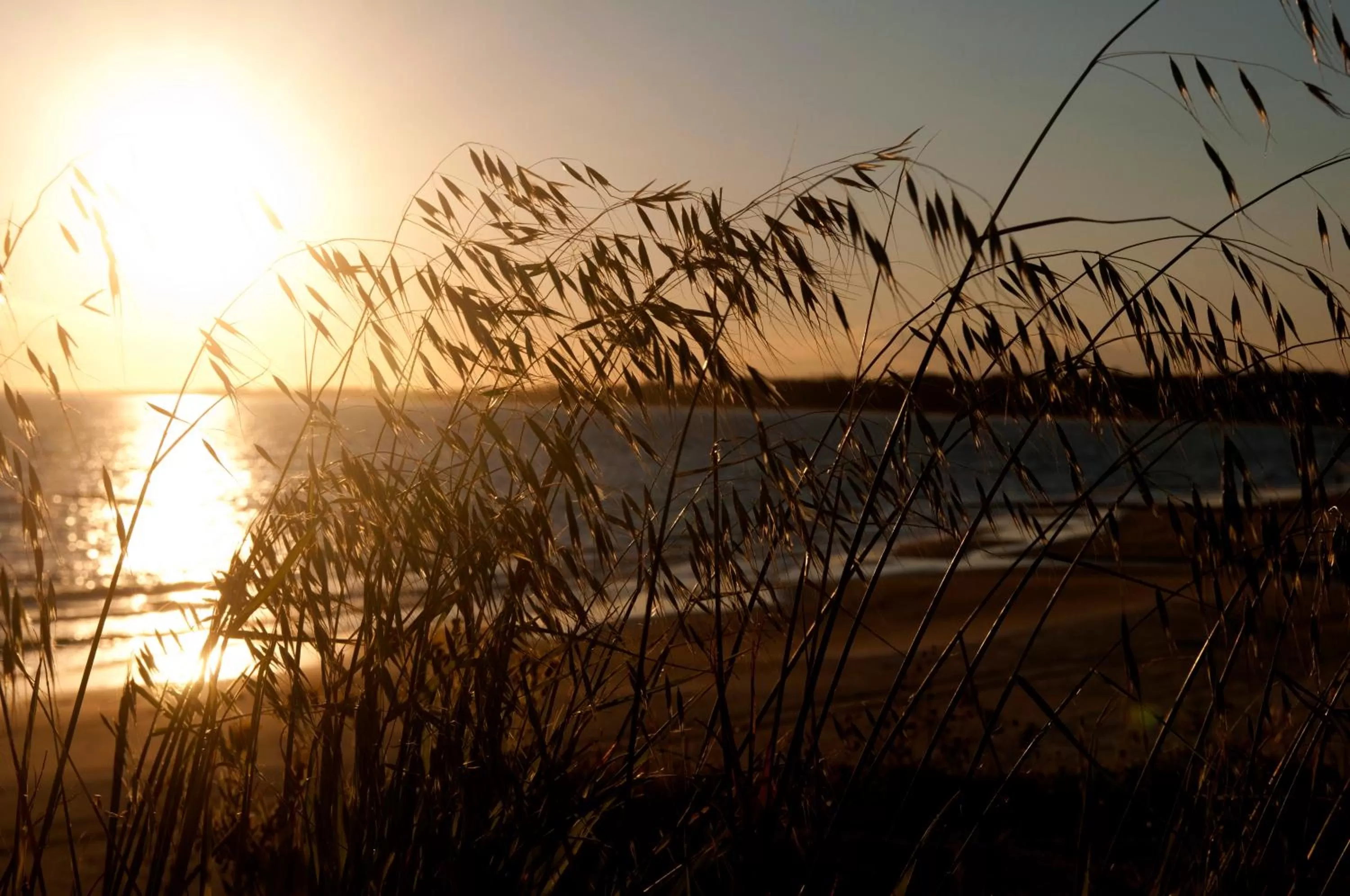 Sunrise/Sunset in Santoral Restaurante y Posada Pet Friendly