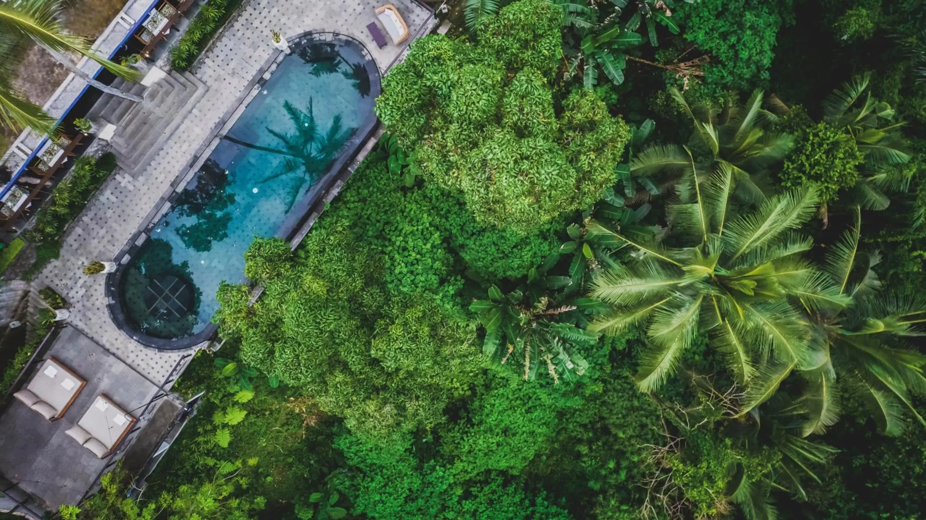 View (from property/room), Pool View in Amora Ubud Boutique Villas